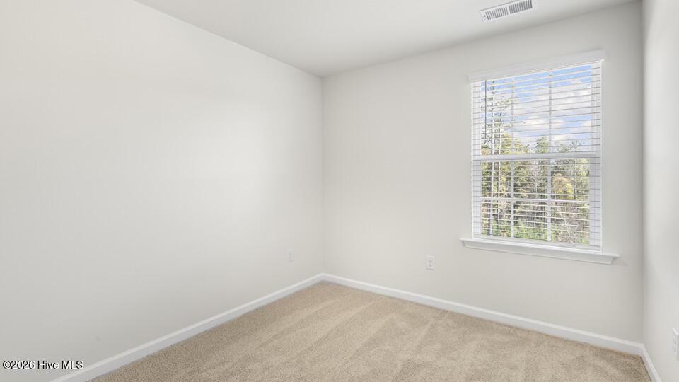 245 Otter Lodge Street Property Photo 19