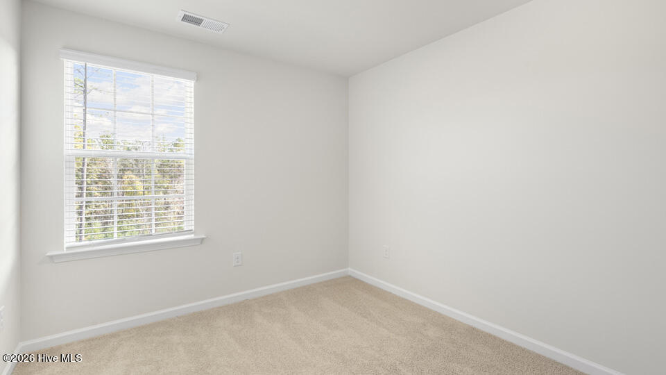 245 Otter Lodge Street Property Photo 22