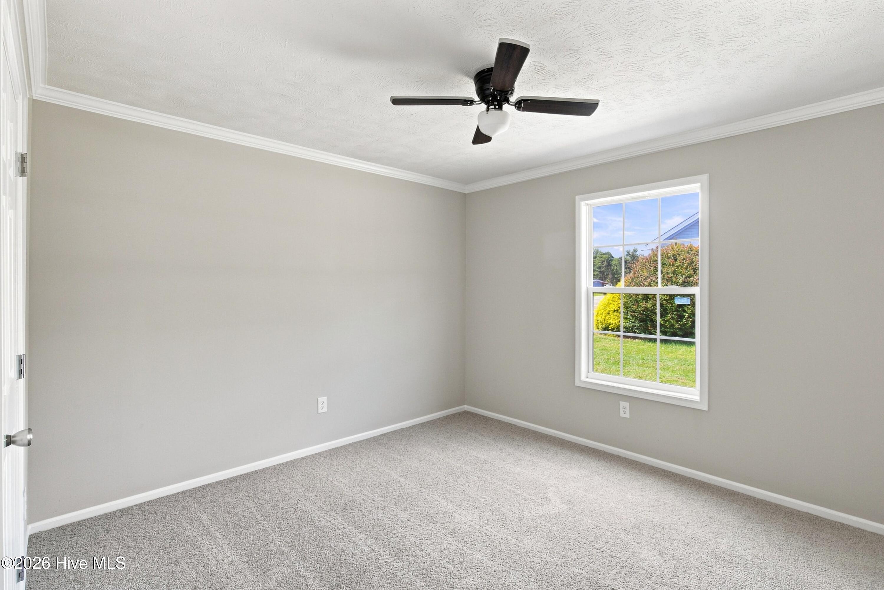 282 Duplin County Road Property Photo 13