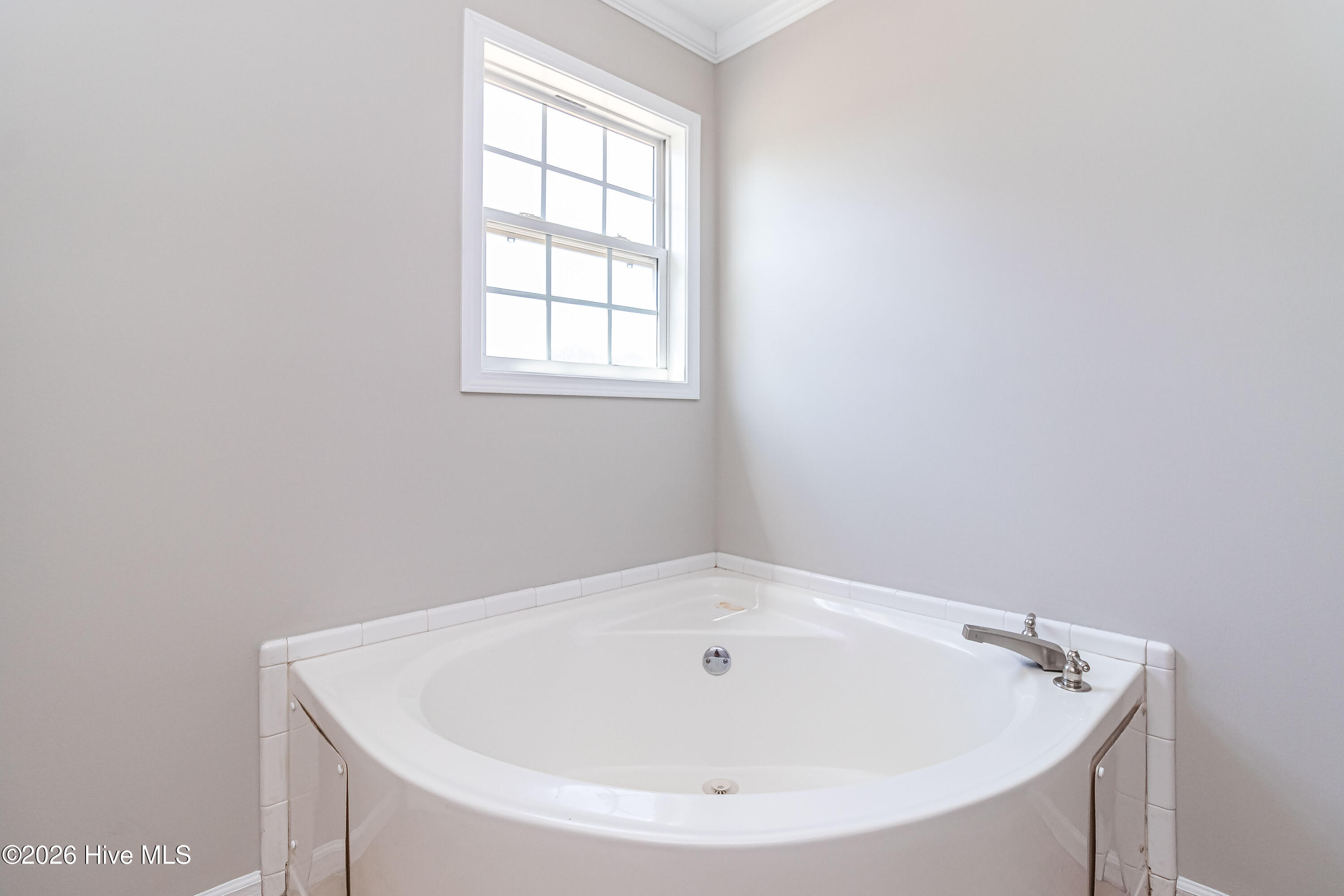 282 Duplin County Road Property Photo 15