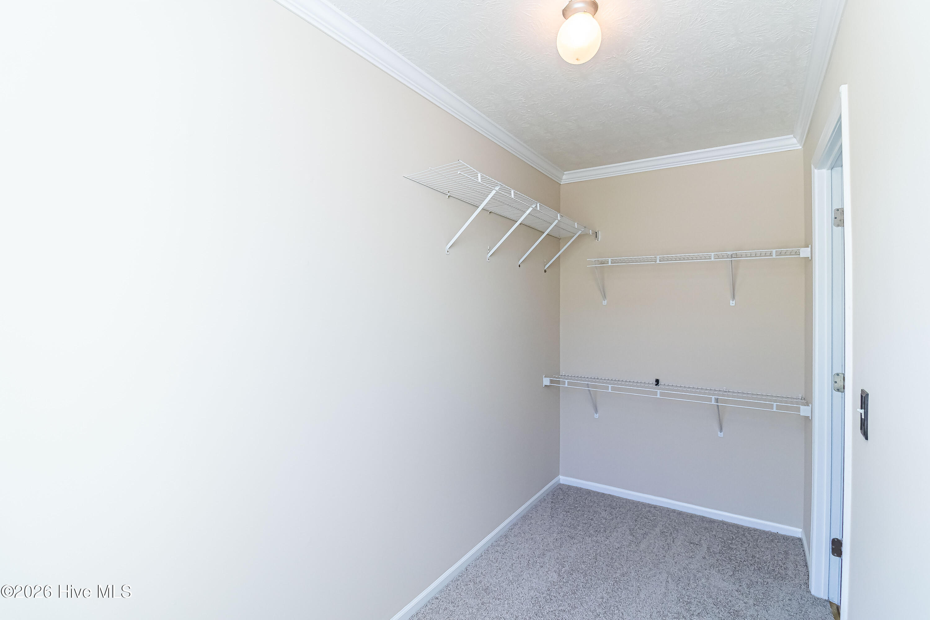 282 Duplin County Road Property Photo 16