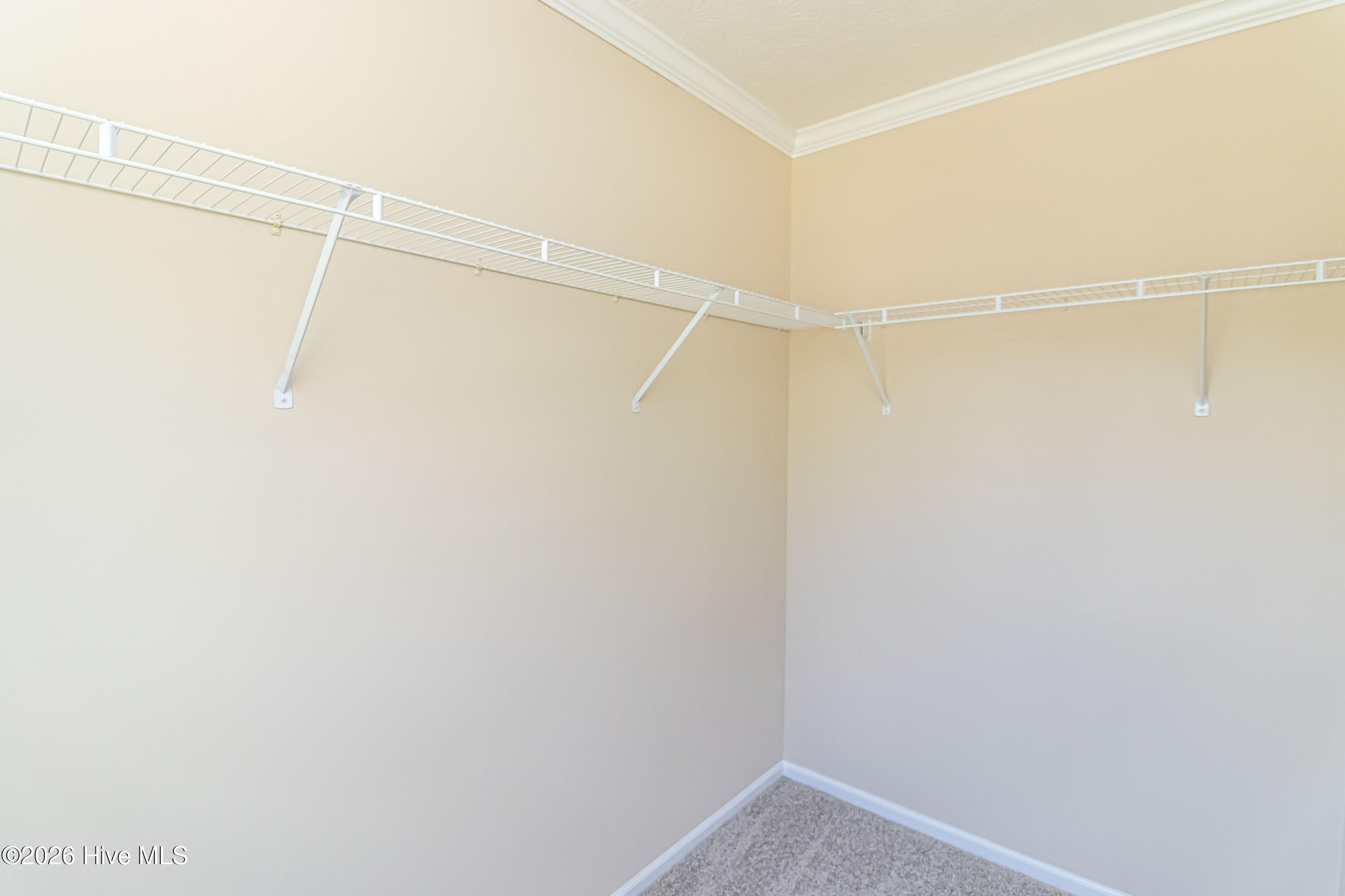 282 Duplin County Road Property Photo 18