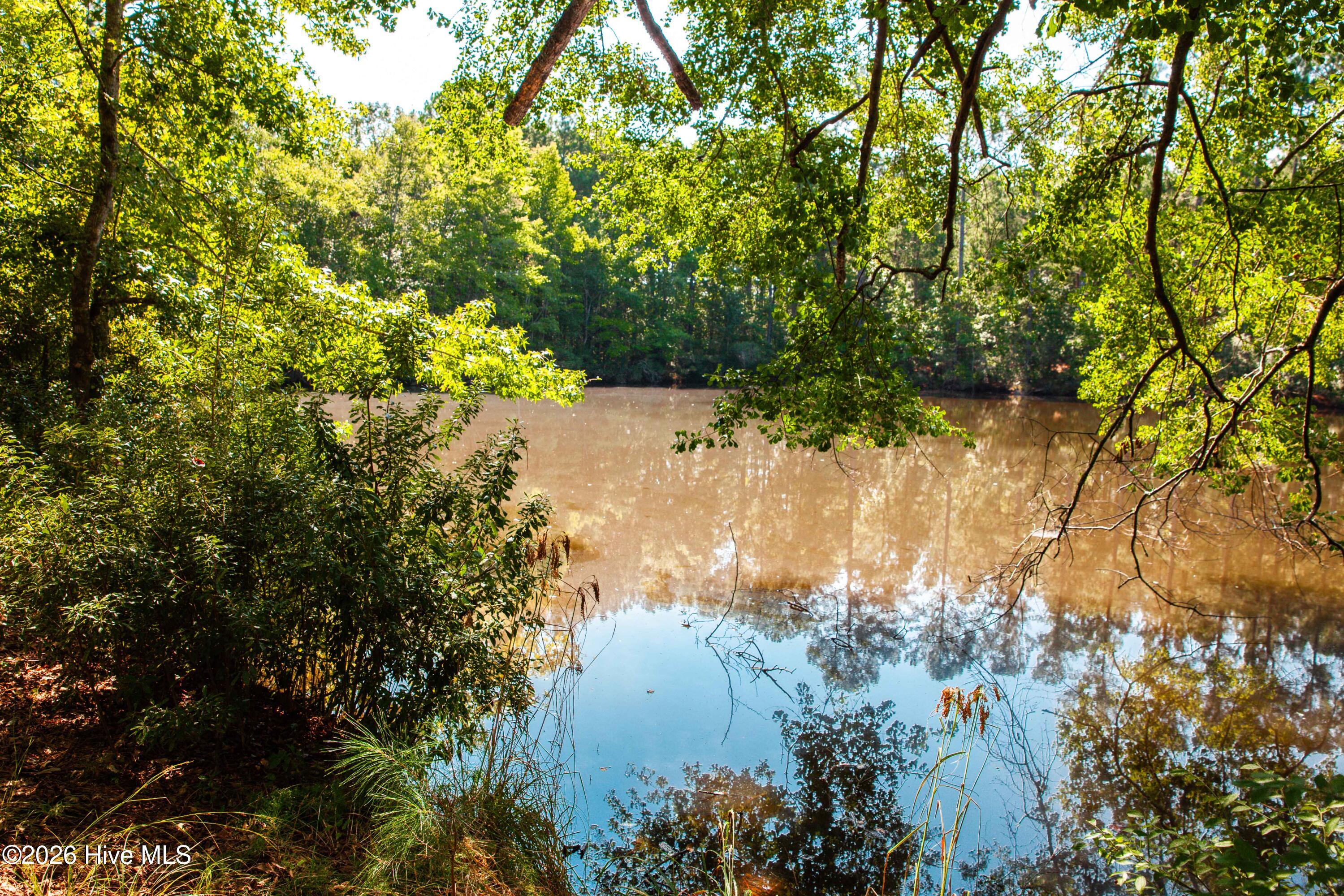 3245 Dozier Road Property Photo 59