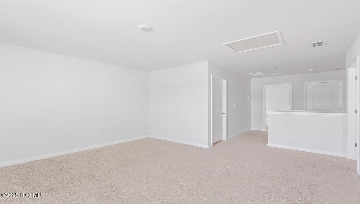 1106 Pampas Grass Drive Lot 339 Property Photo 13