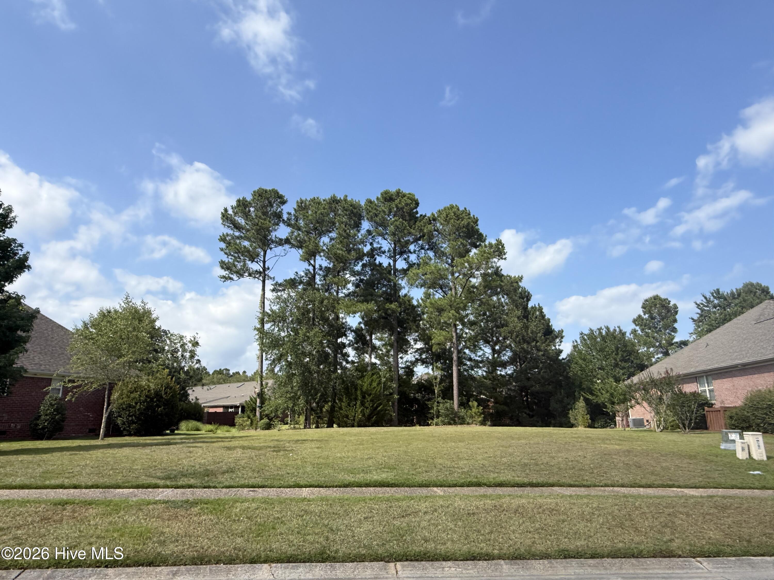 907 341 Spicebush Drive Property Photo 2