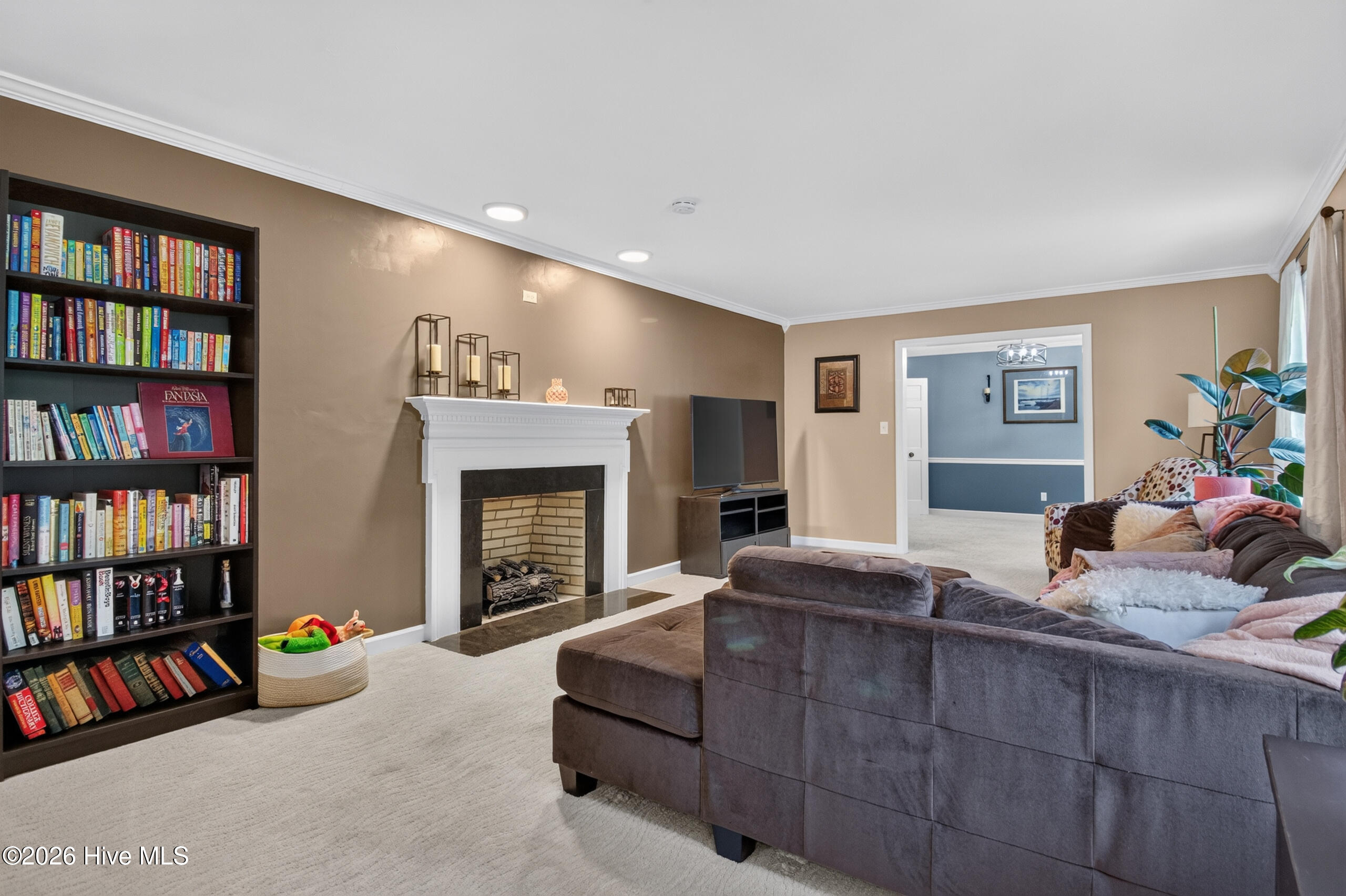 113 Clarendon Road Property Photo 14