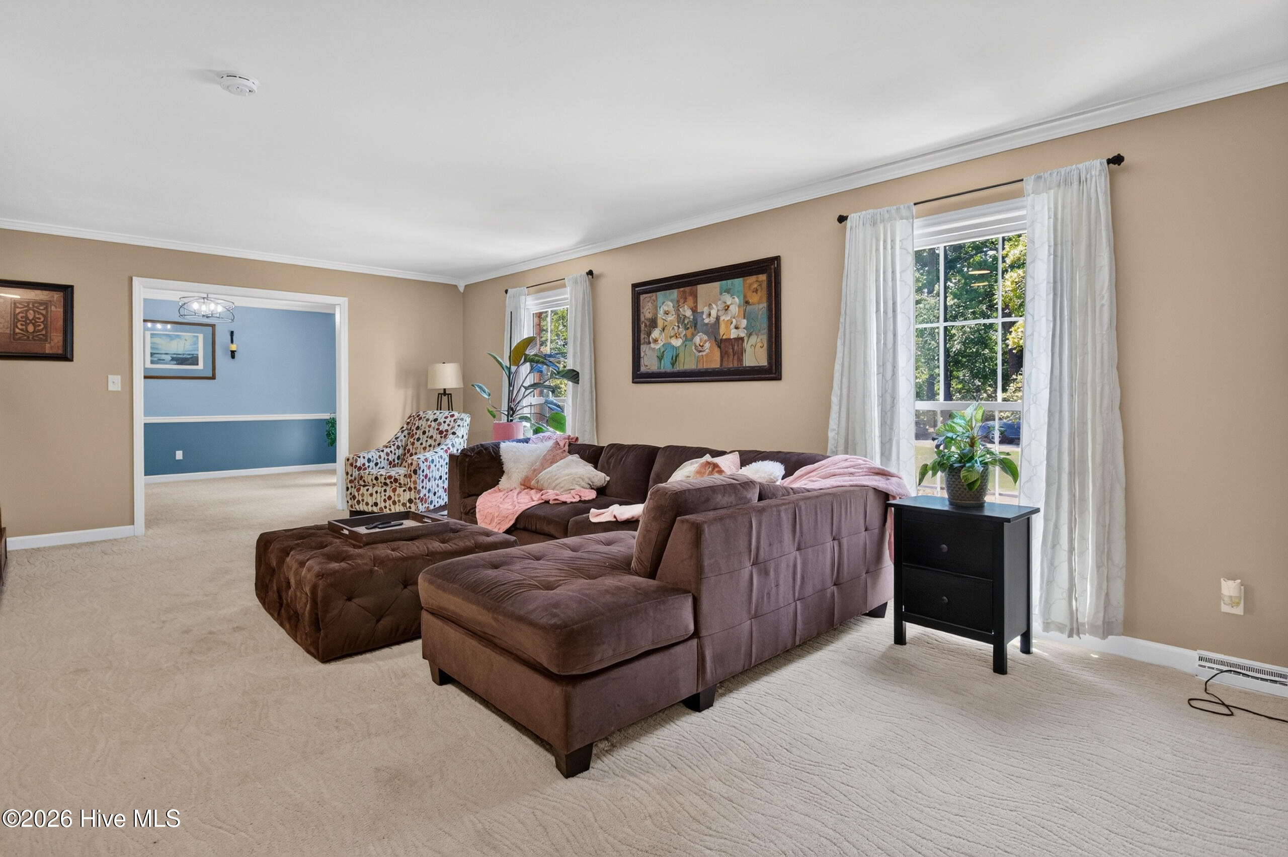 113 Clarendon Road Property Photo 16