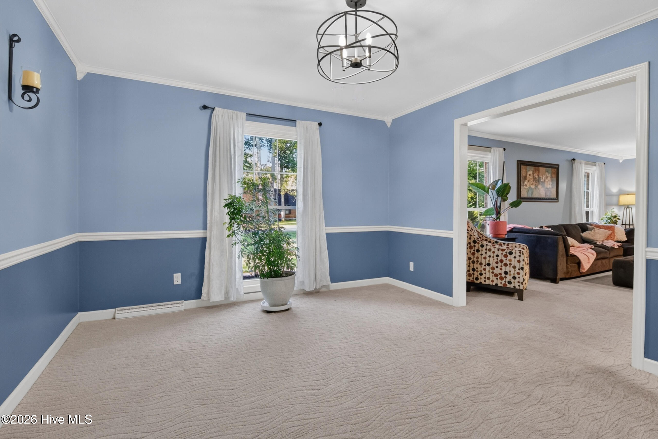 113 Clarendon Road Property Photo 19