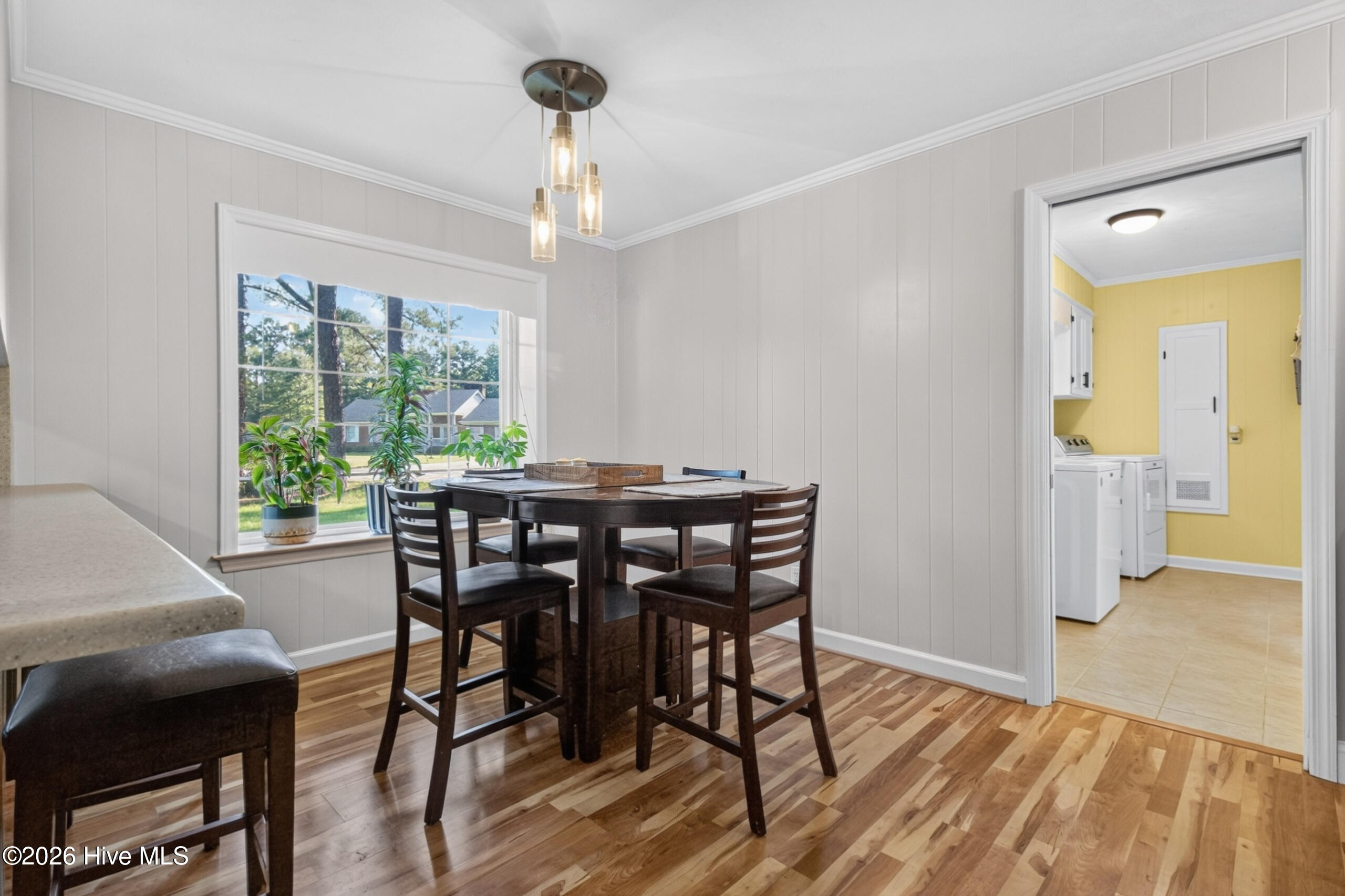 113 Clarendon Road Property Photo 33