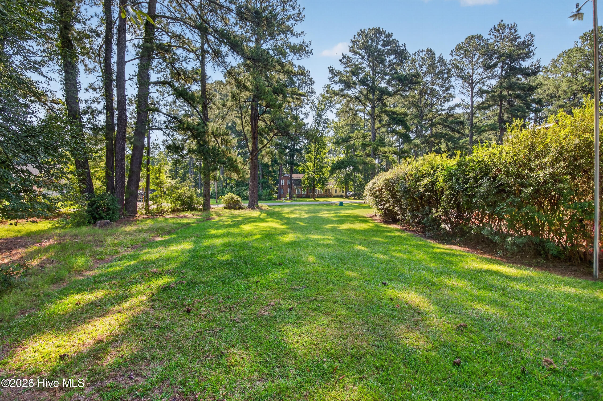 113 Clarendon Road Property Photo 69