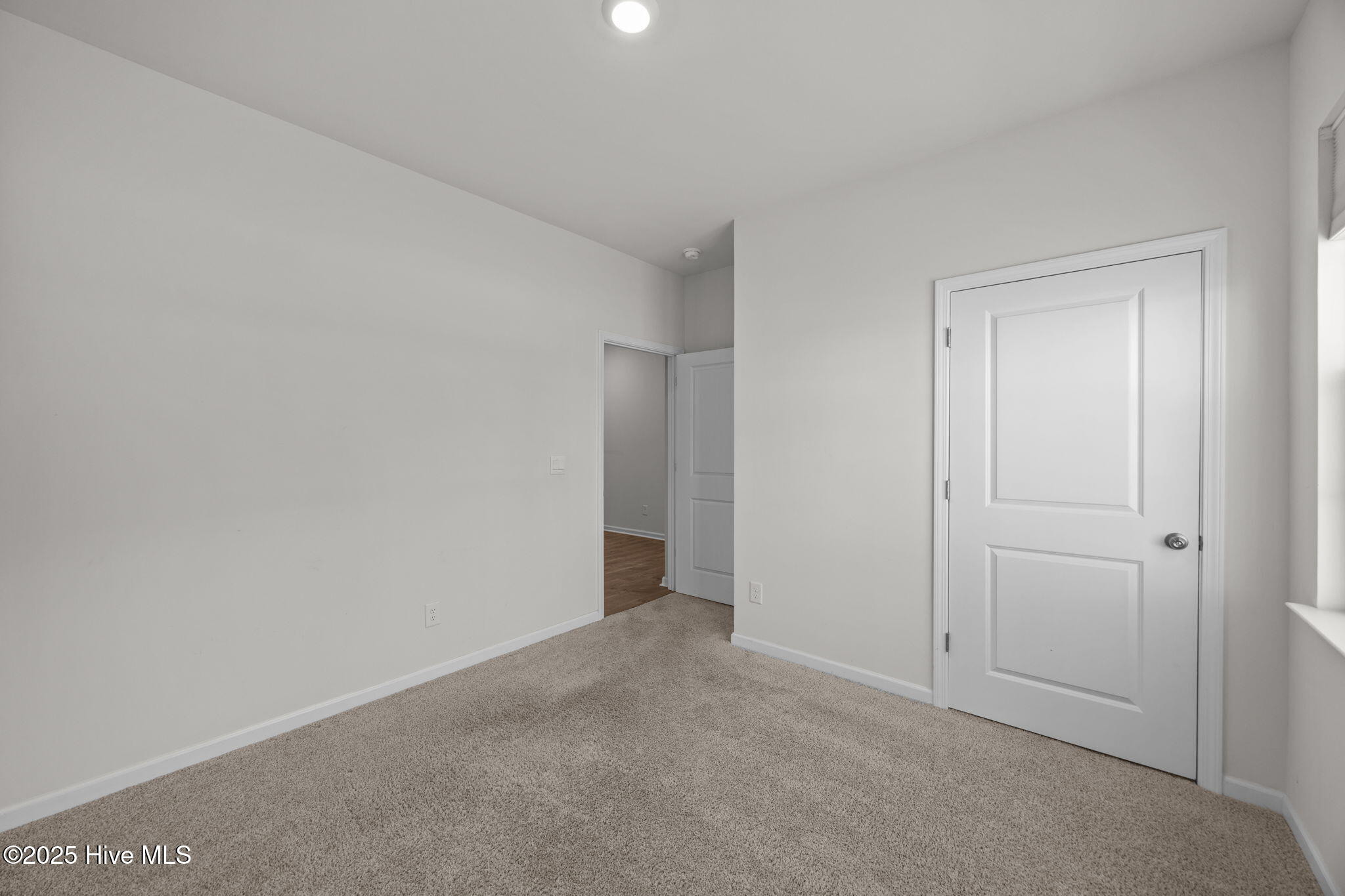 4449 Marthas Village Lane Property Photo 18