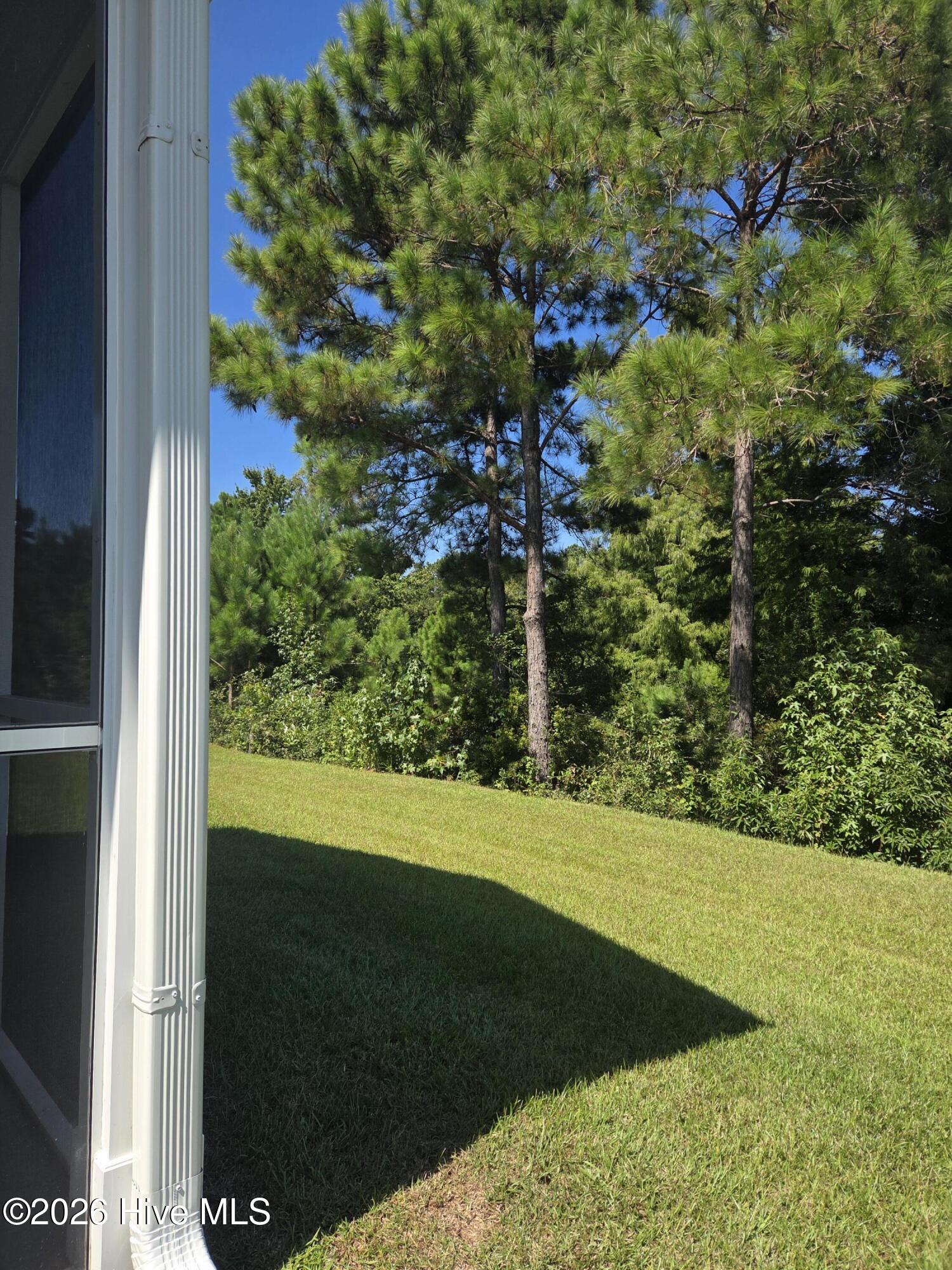 229 Eagle Claw Drive Property Photo 4