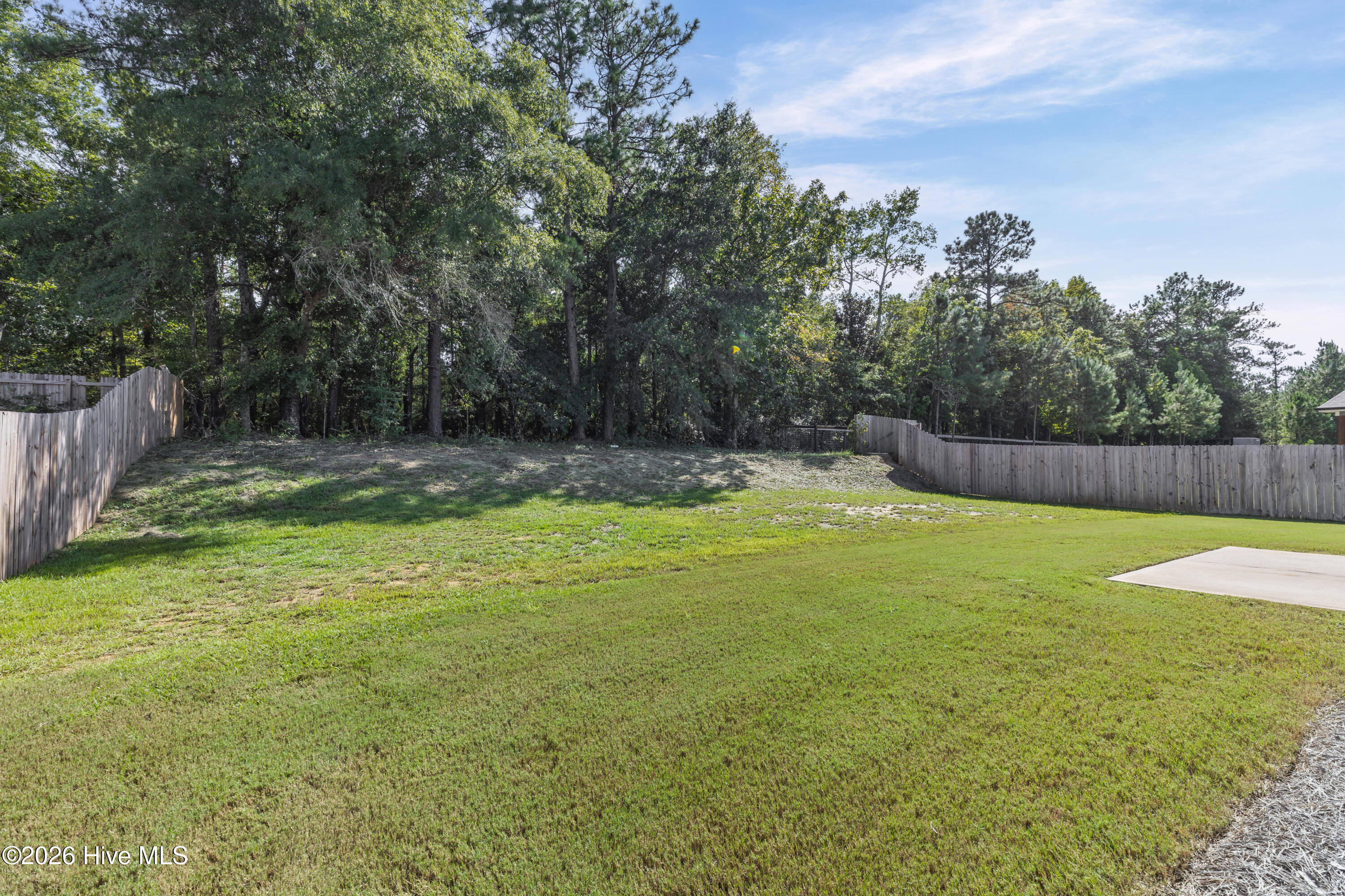 4219 Fringetree Loop Property Photo 21