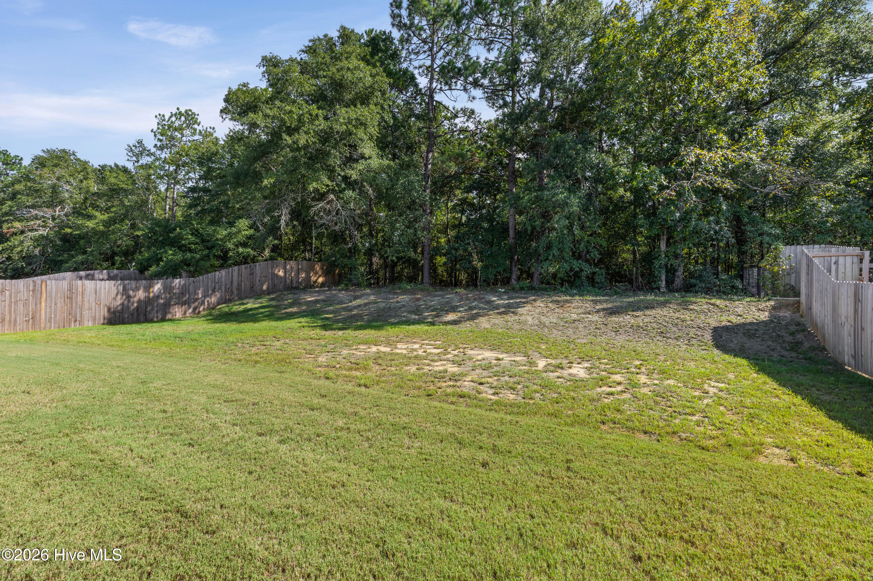 4219 Fringetree Loop Property Photo 22