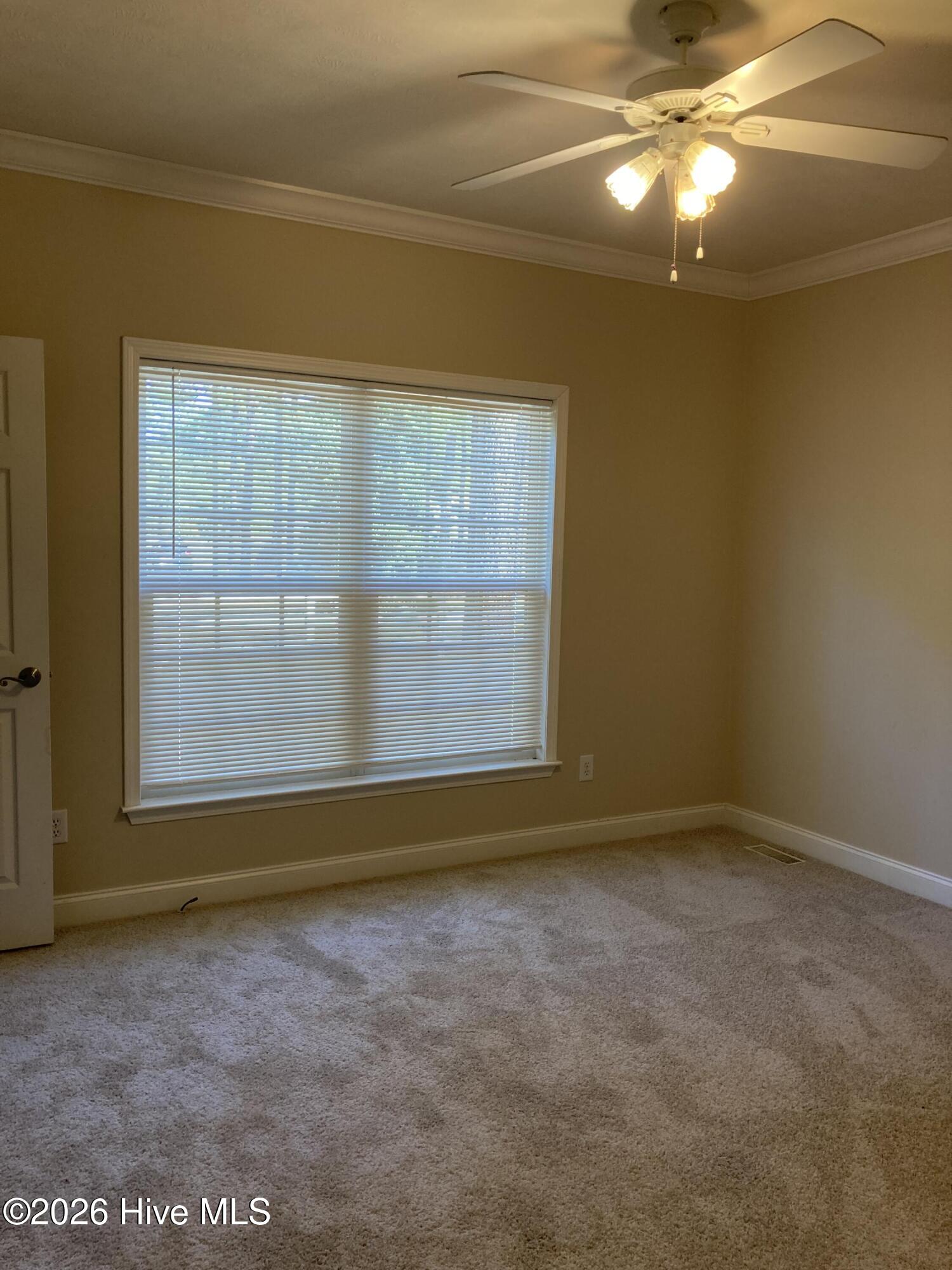 115 Ashleigh Boulevard Property Photo 13