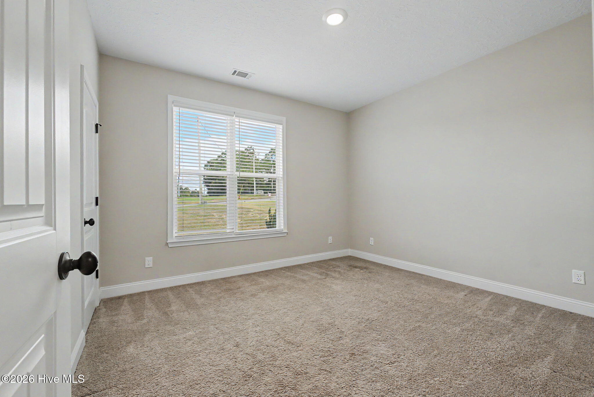 6019 Pelion Park Property Photo 20