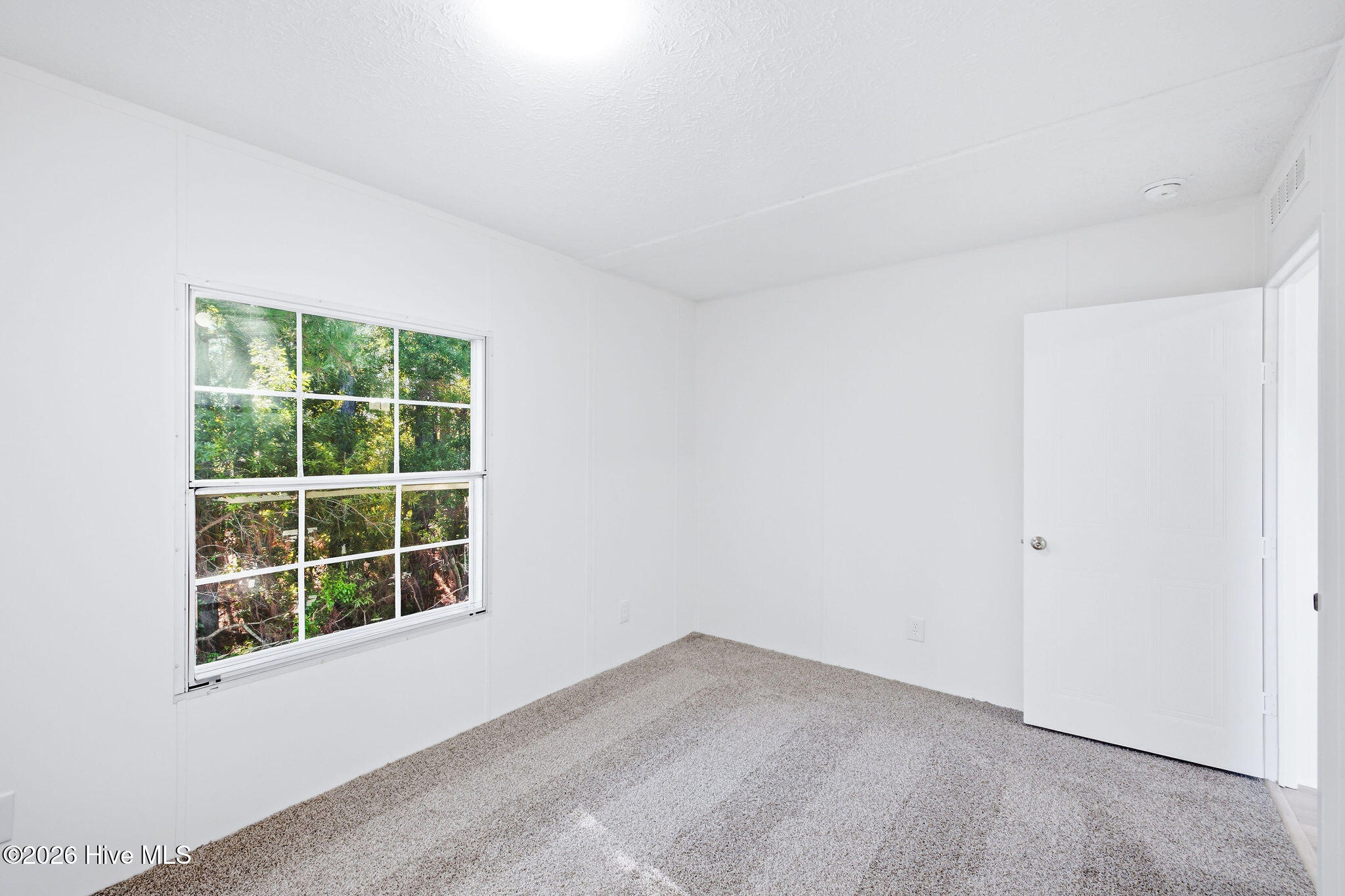 146 Grey Beard Drive Property Photo 22