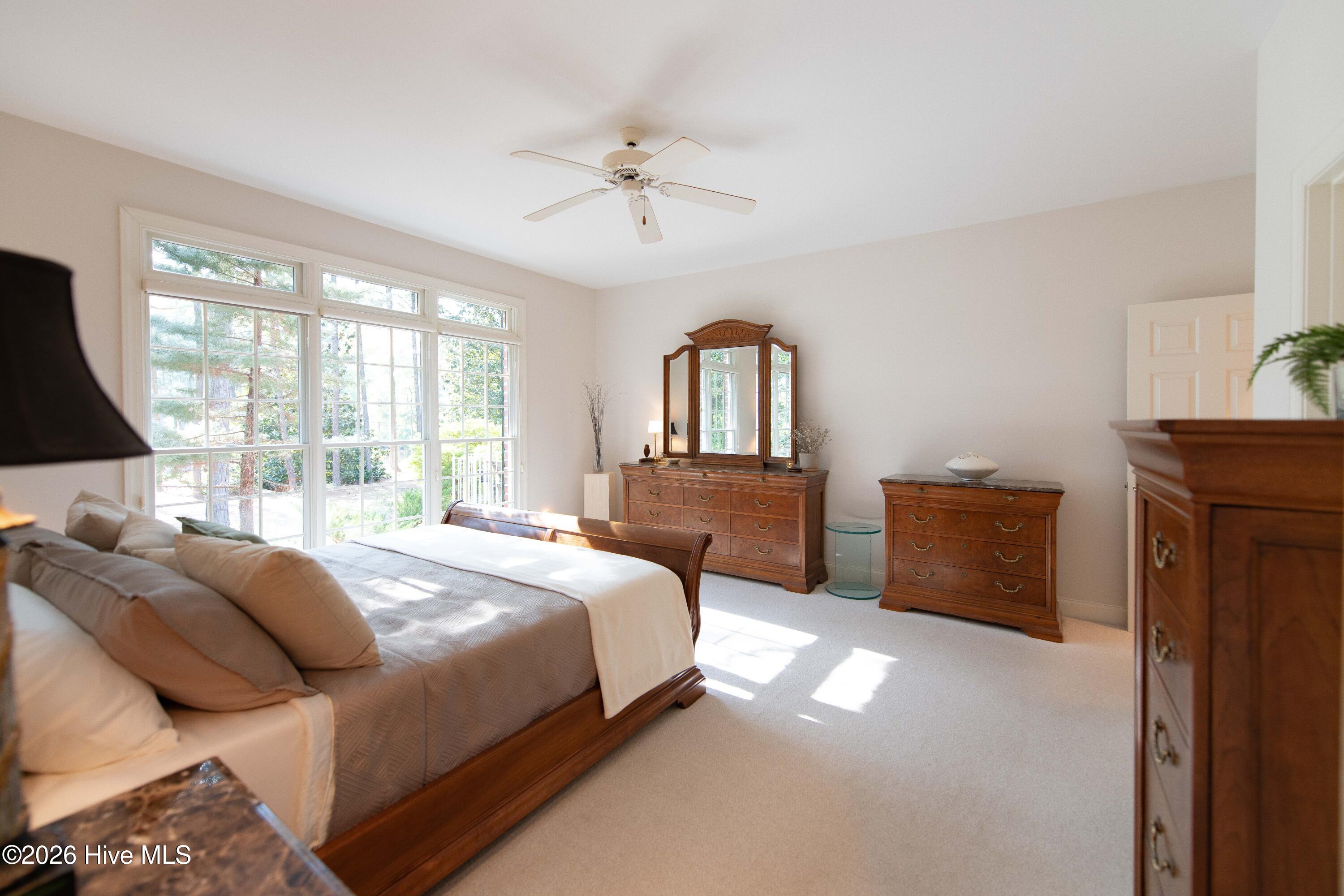 31 Greyabbey Drive Property Photo 46