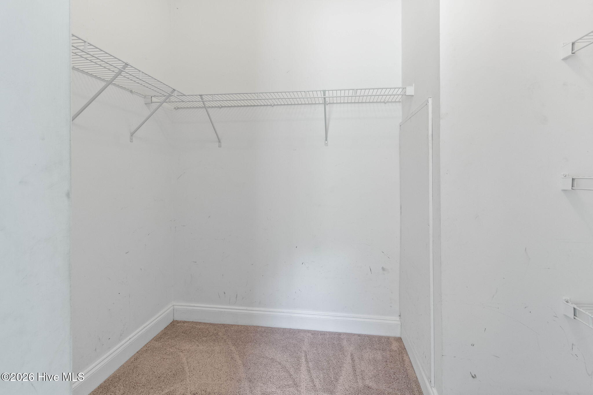 771 Mount Olive Road Property Photo 29
