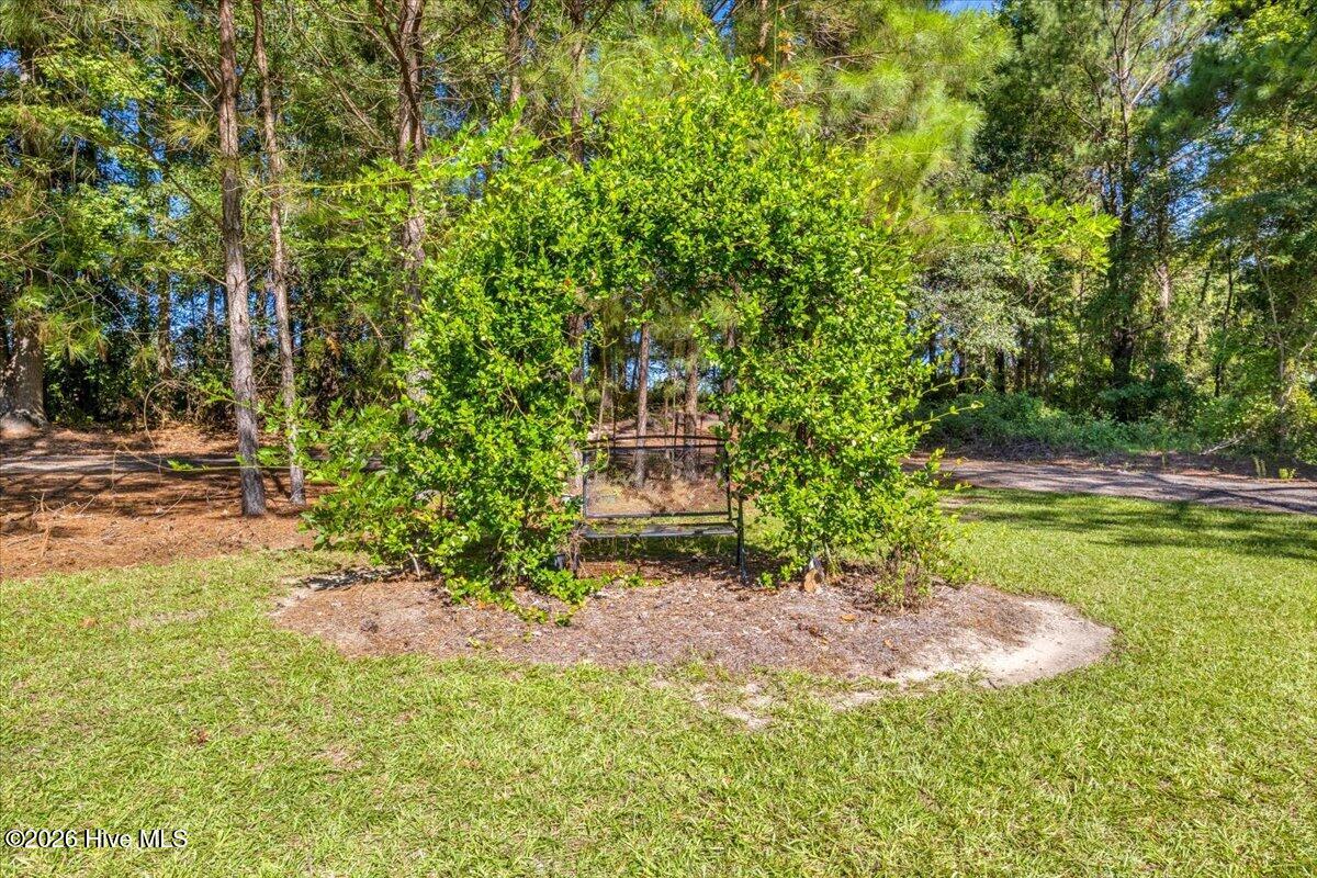 18078 Nc Hwy 210 E Property Photo 85