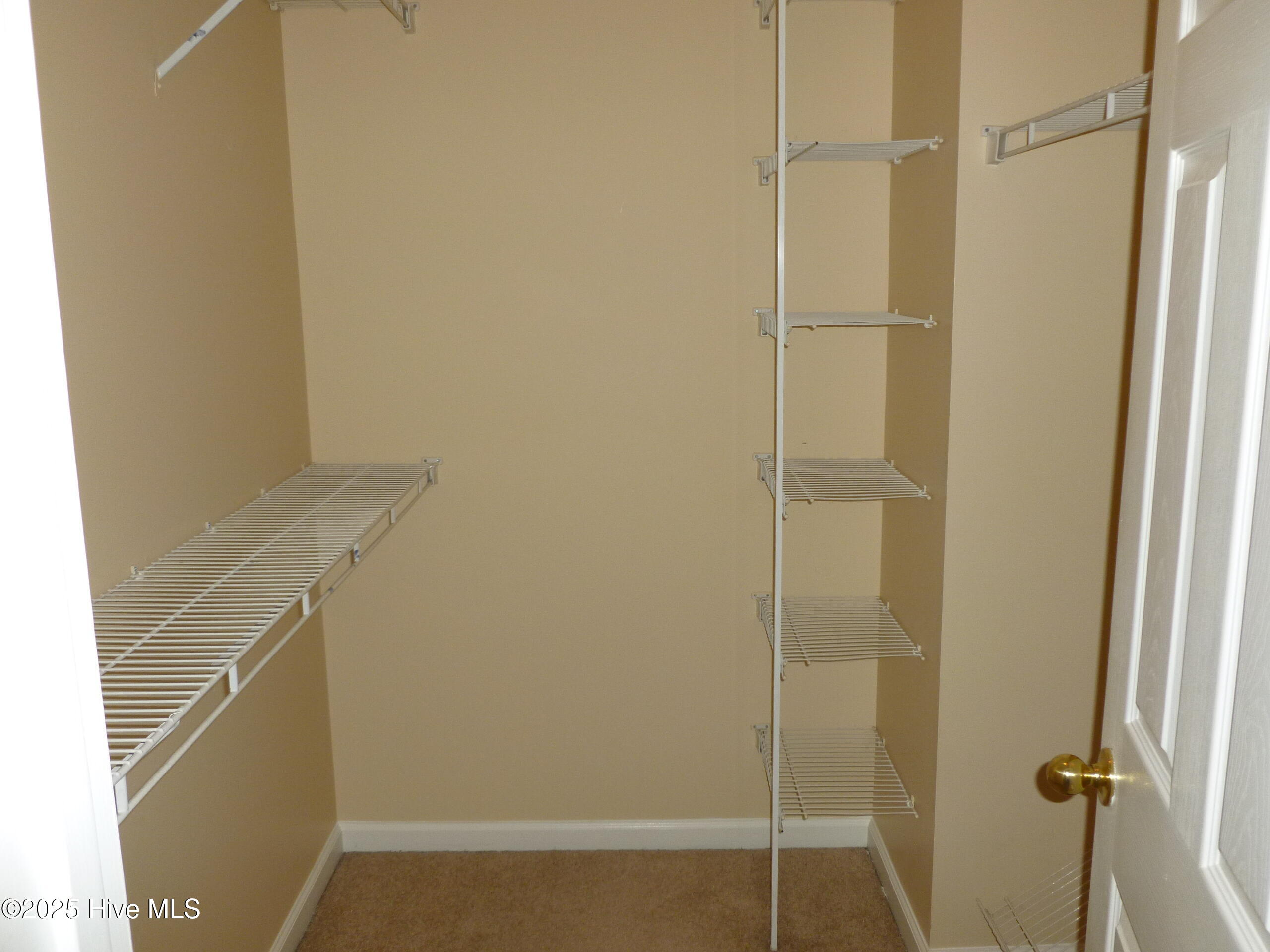 302 Carlisle Court Property Photo 10