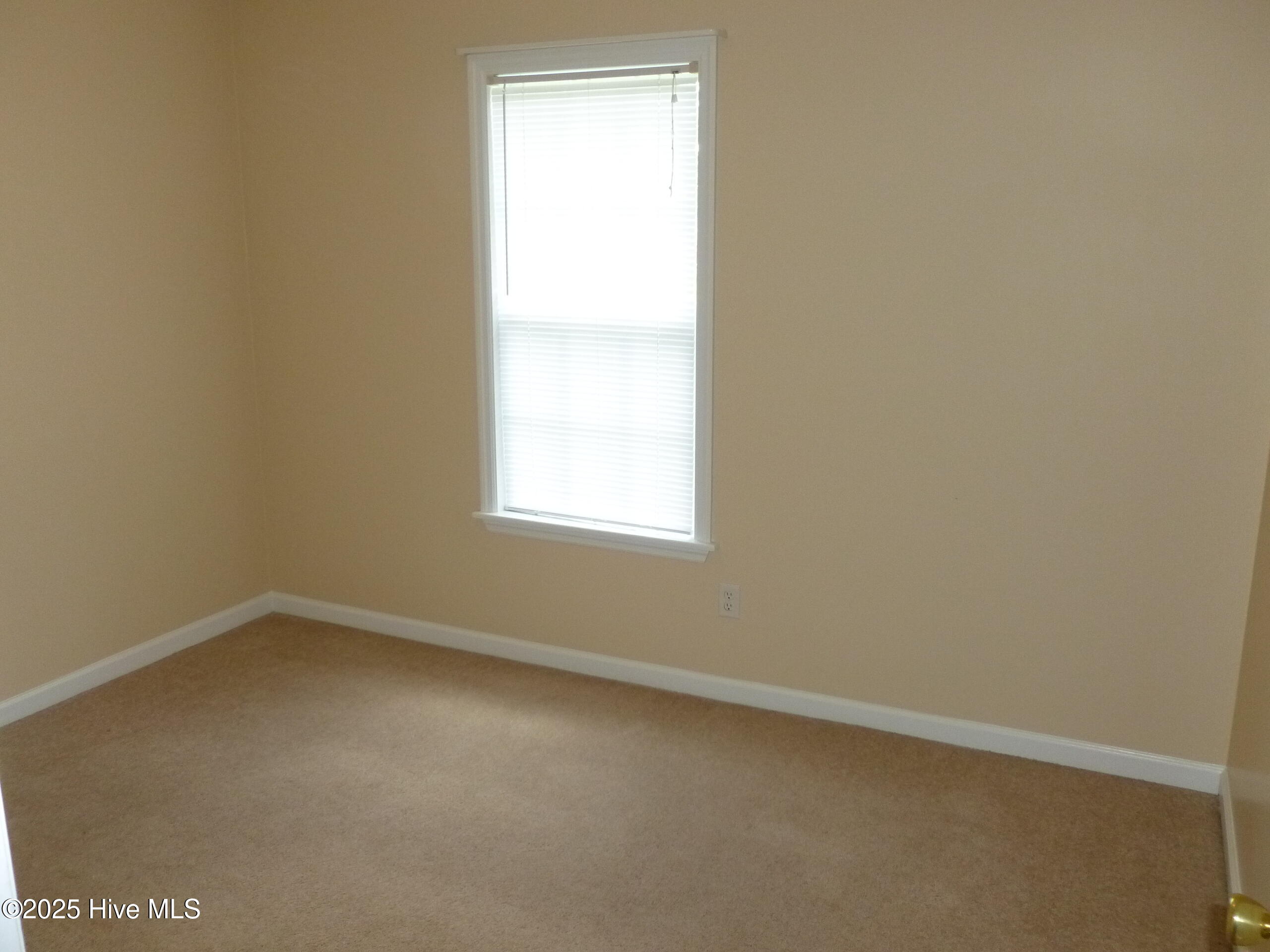 302 Carlisle Court Property Photo 14