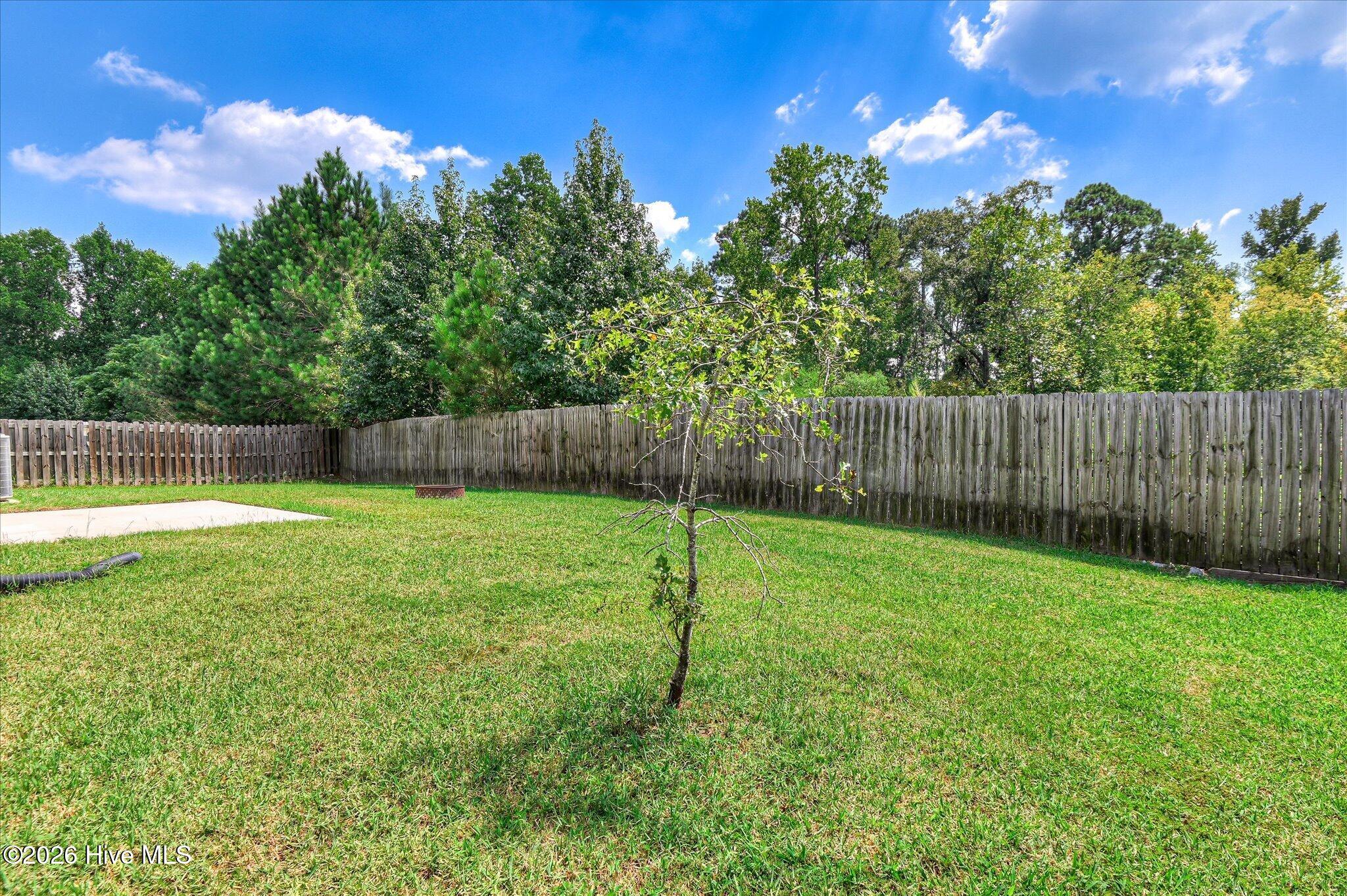 2126 Grove Landing Way Property Photo 43