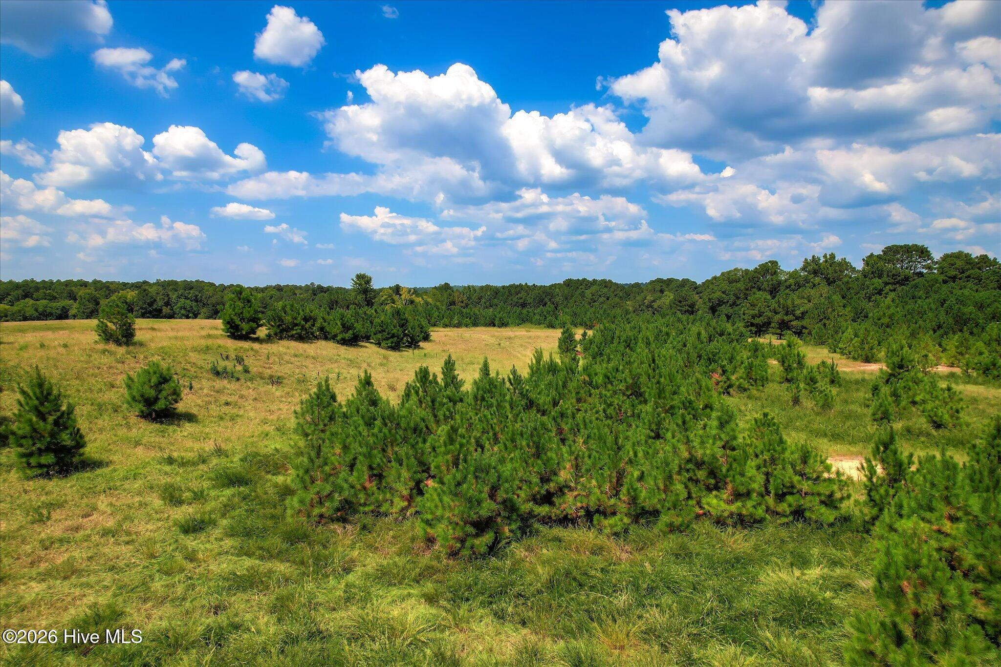 2207 Mccormick Highway Property Photo 4