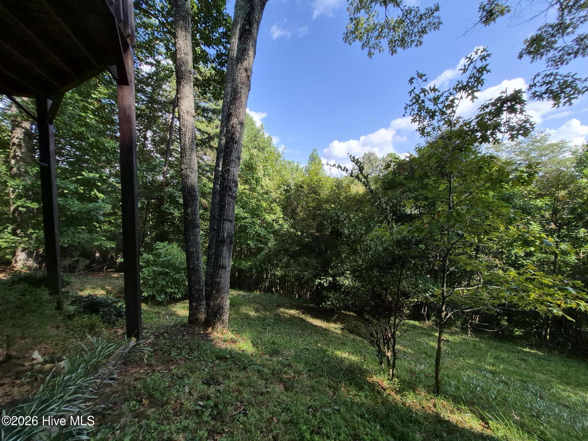 234 Ashley Lane Property Photo 44