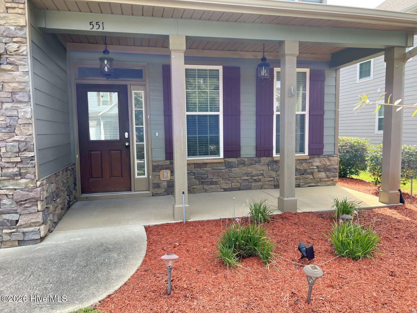 551 Bunchgrass Street Property Photo 3