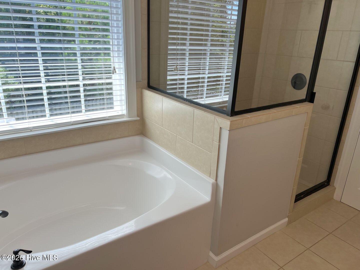 551 Bunchgrass Street Property Photo 20