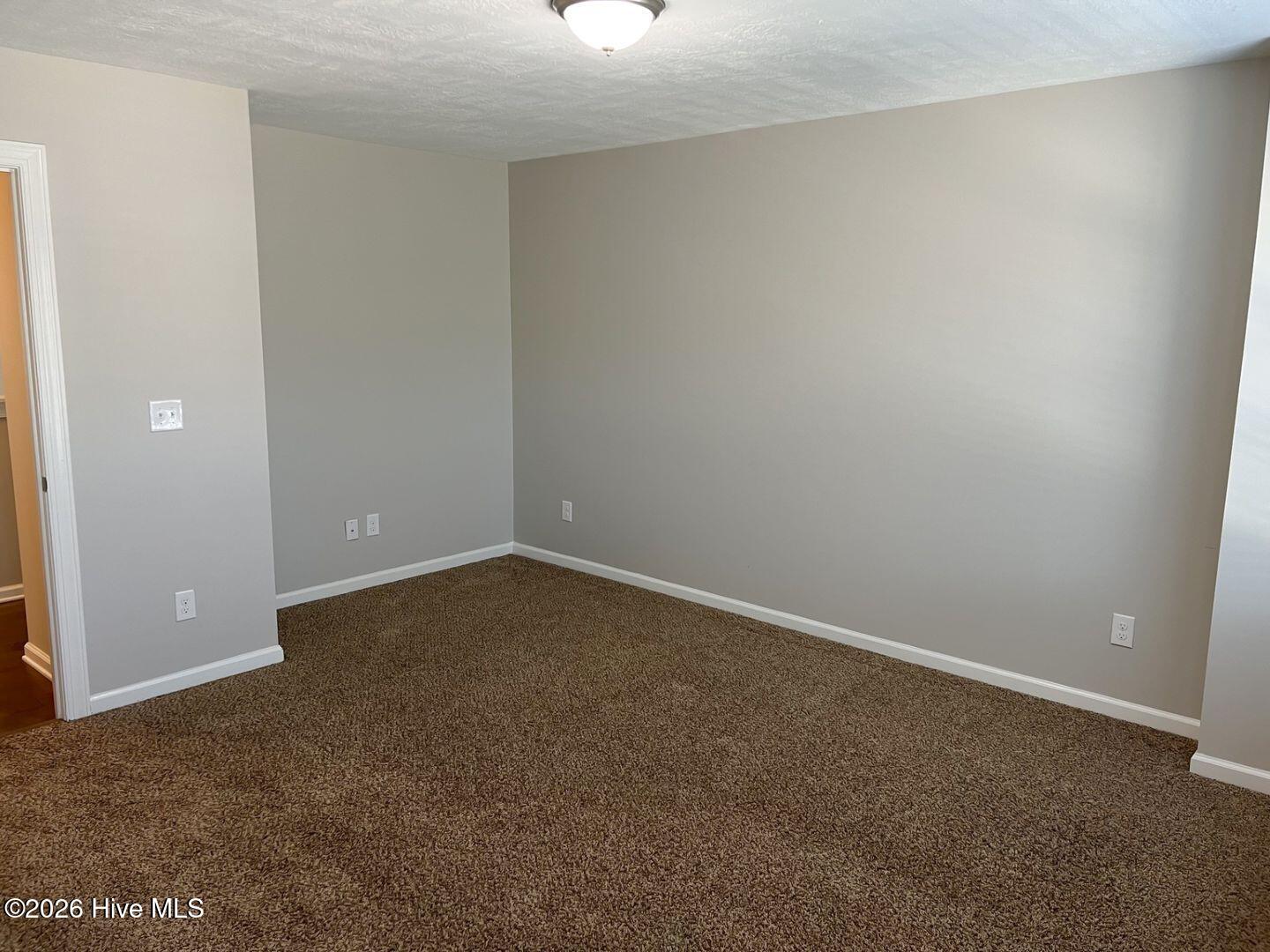 551 Bunchgrass Street Property Photo 22