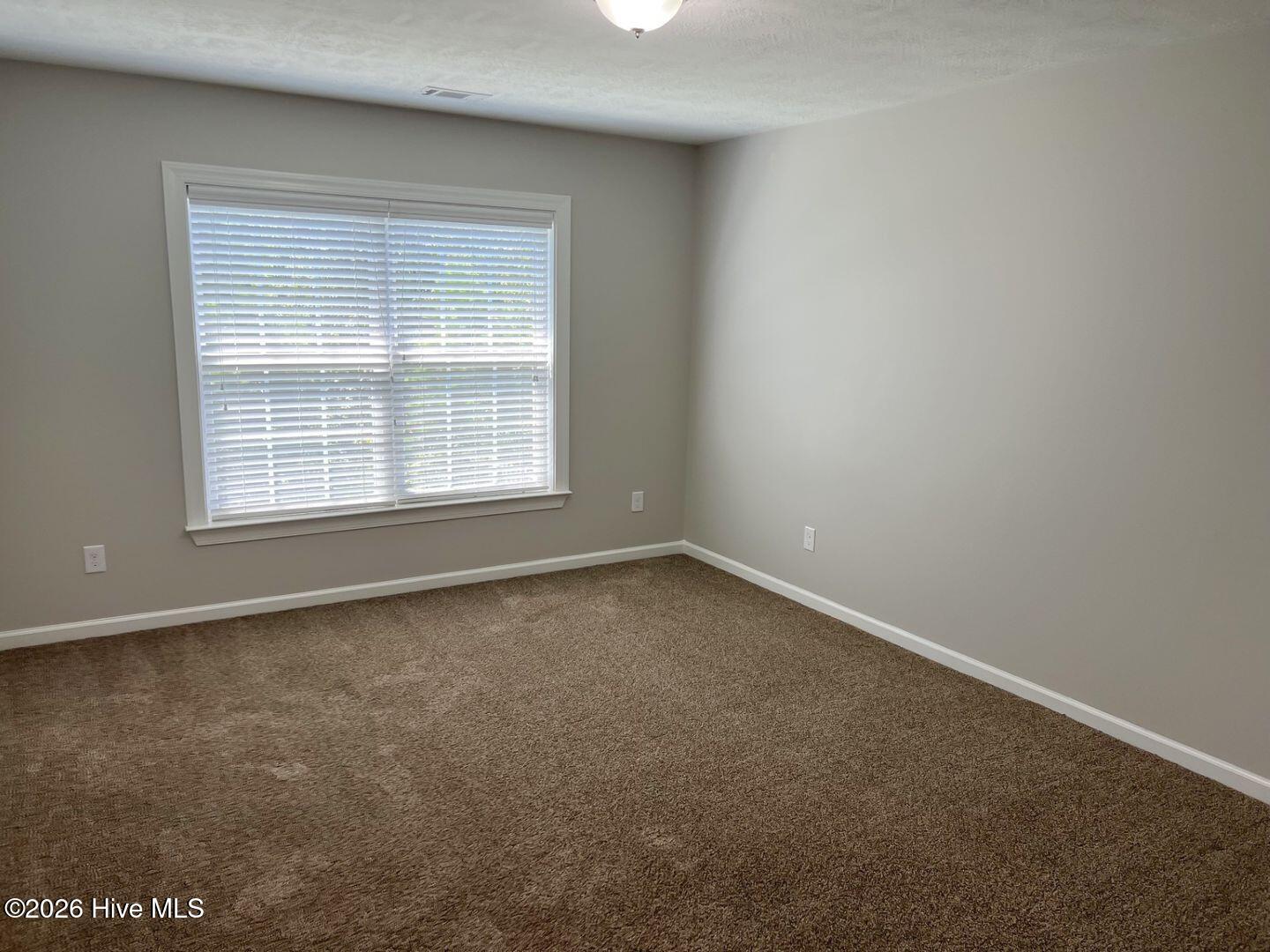 551 Bunchgrass Street Property Photo 23