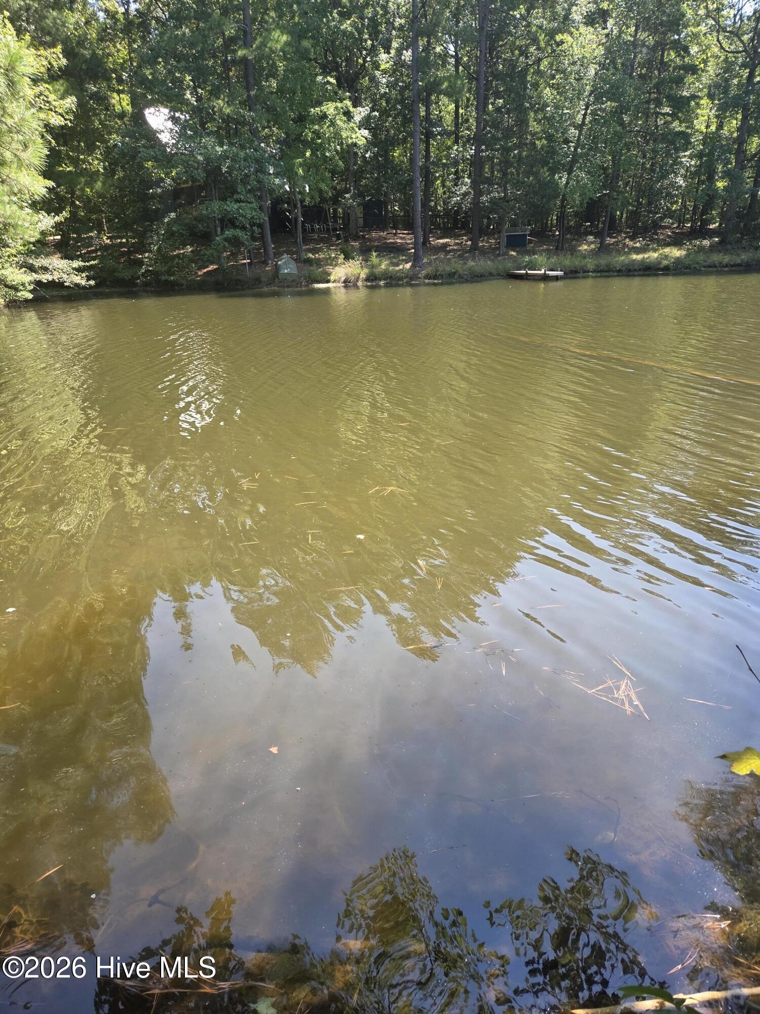 Lot 45b 45b Appaloosa Lake Drive Property Photo 2