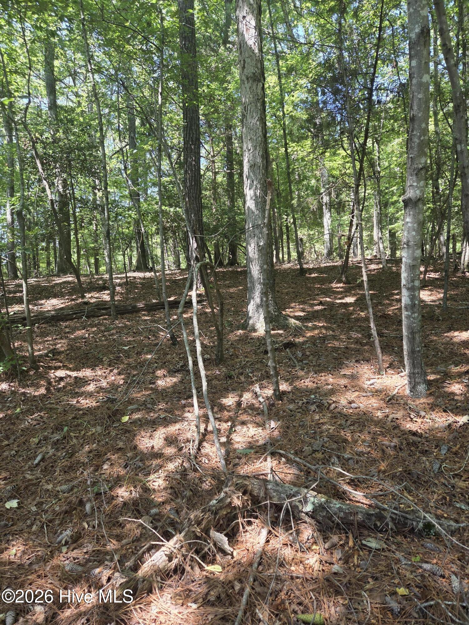 Lot 45b 45b Appaloosa Lake Drive Property Photo 3