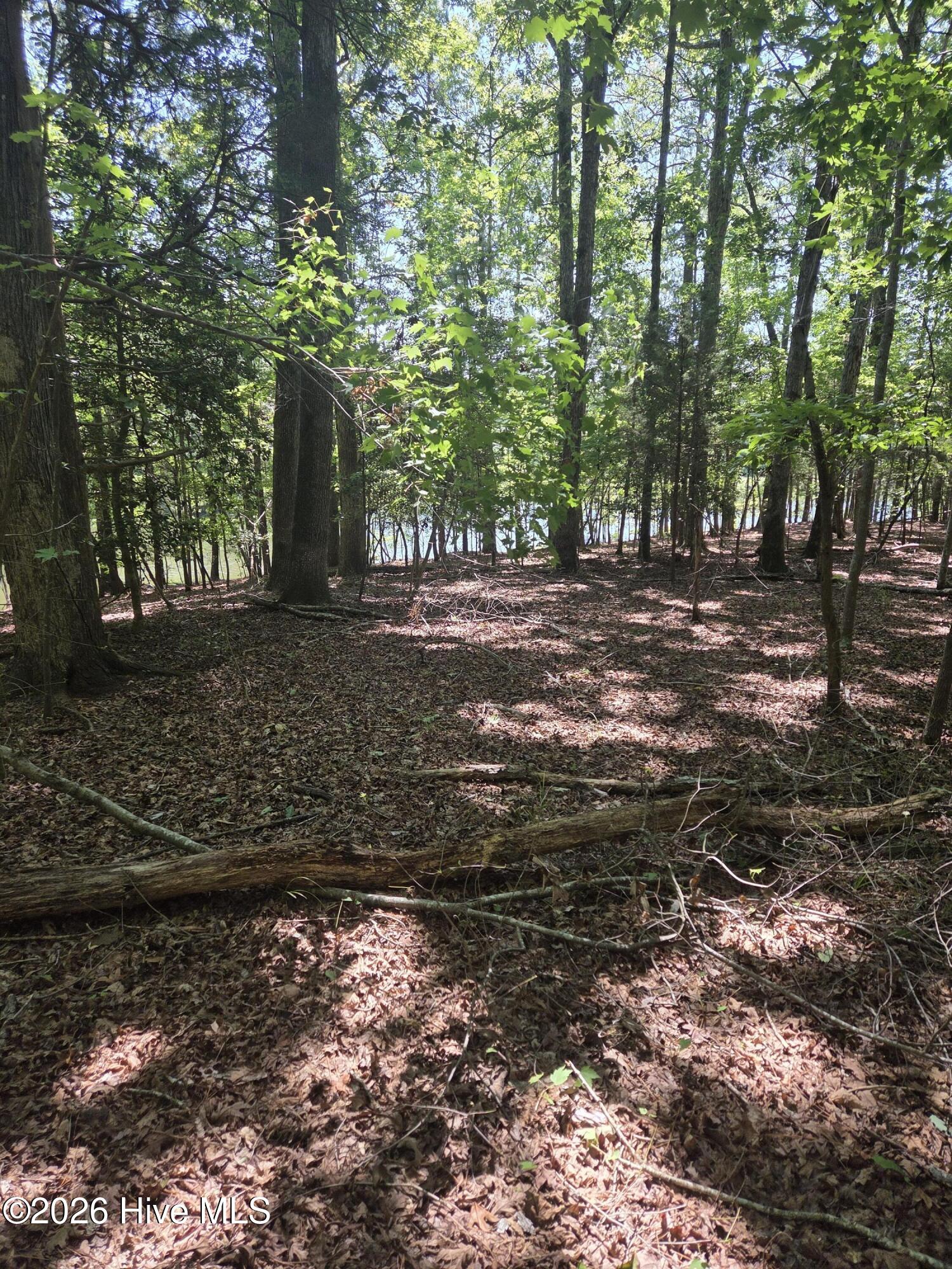 Lot 45b 45b Appaloosa Lake Drive Property Photo 4