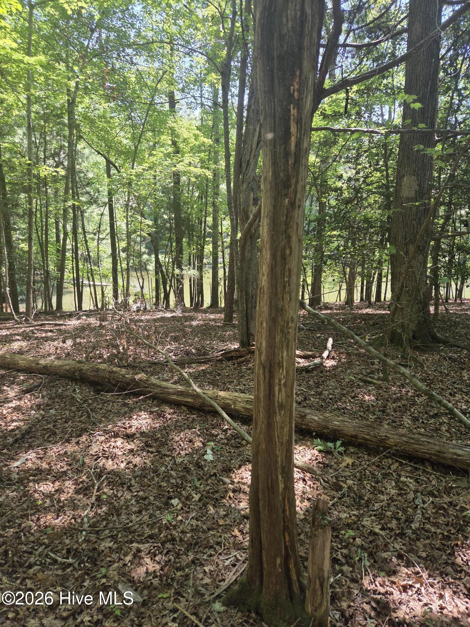 Lot 45b 45b Appaloosa Lake Drive Property Photo 5