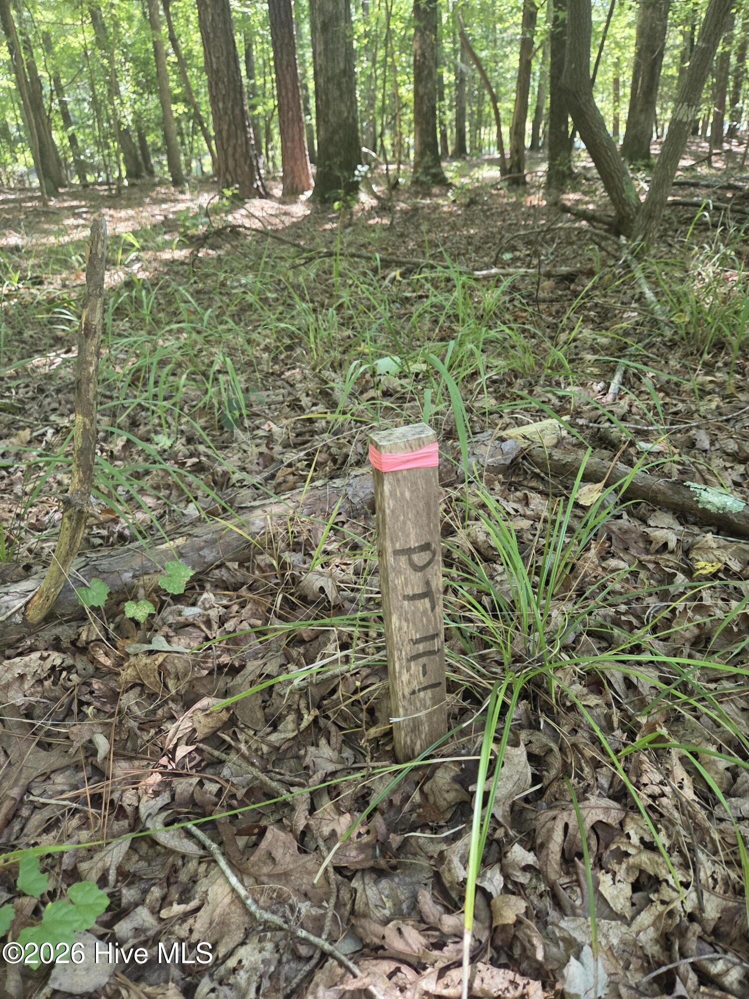 Lot 45b 45b Appaloosa Lake Drive Property Photo 6