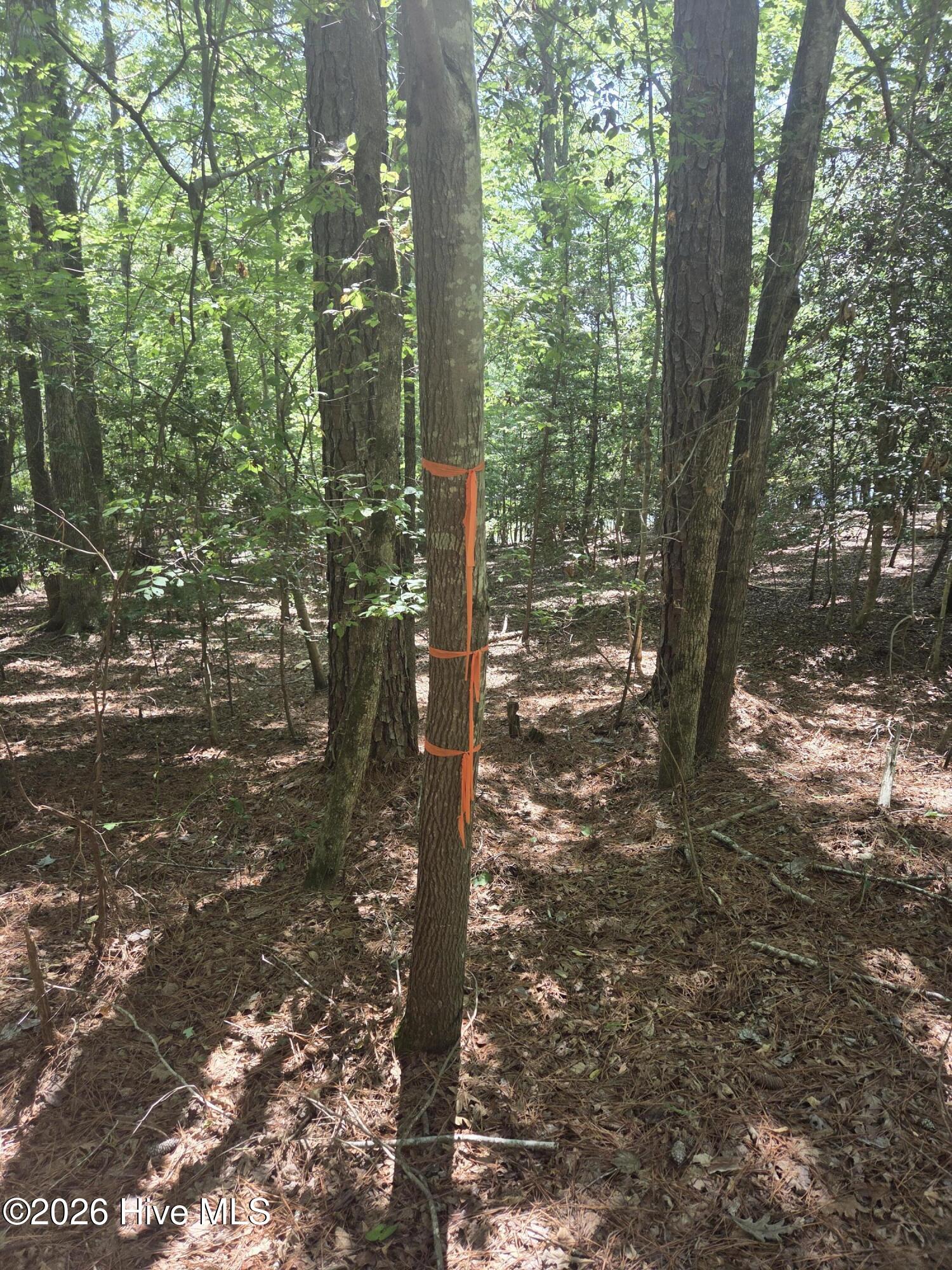 Lot 45b 45b Appaloosa Lake Drive Property Photo 7