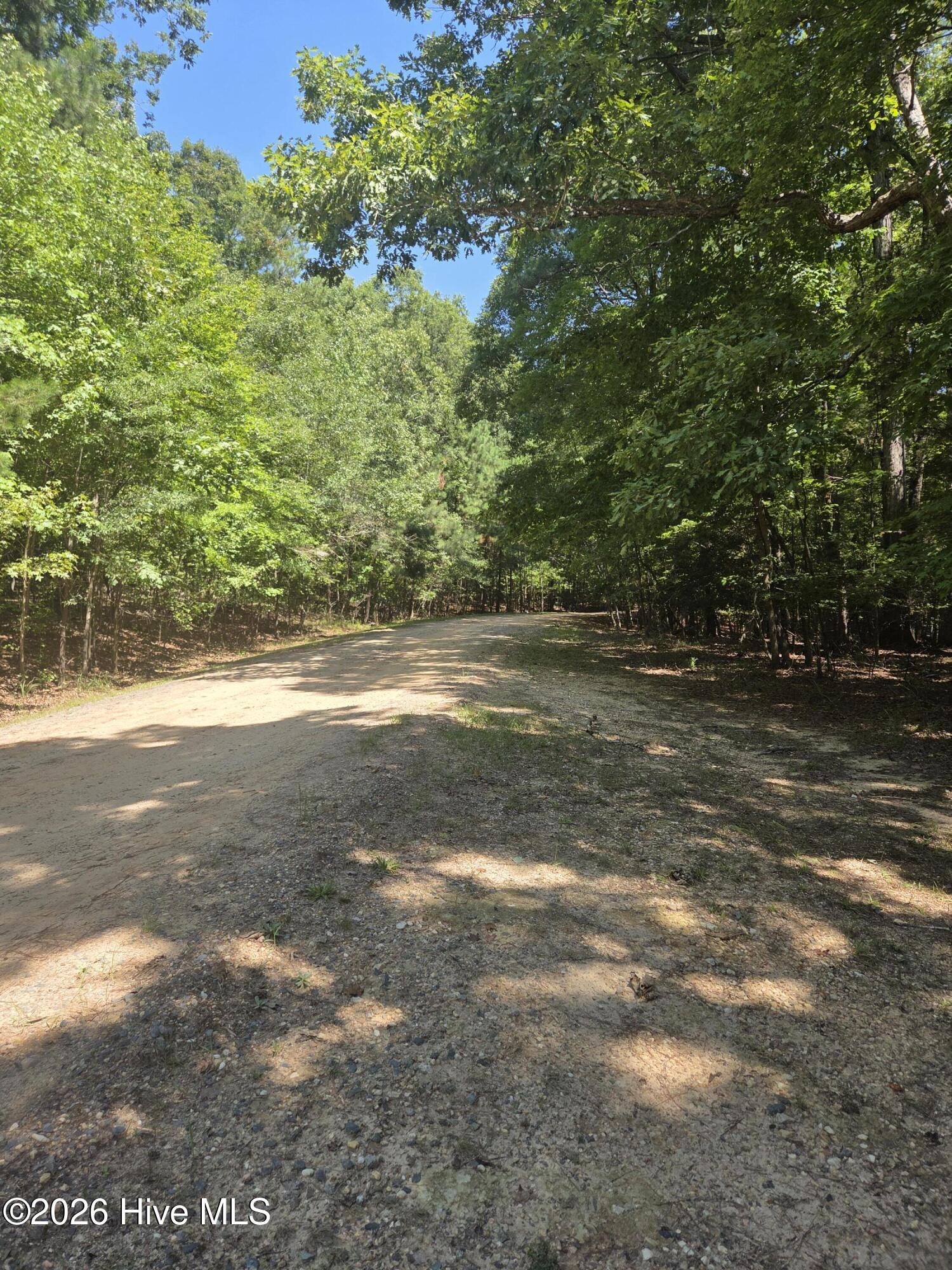 Lot 45b 45b Appaloosa Lake Drive Property Photo 8