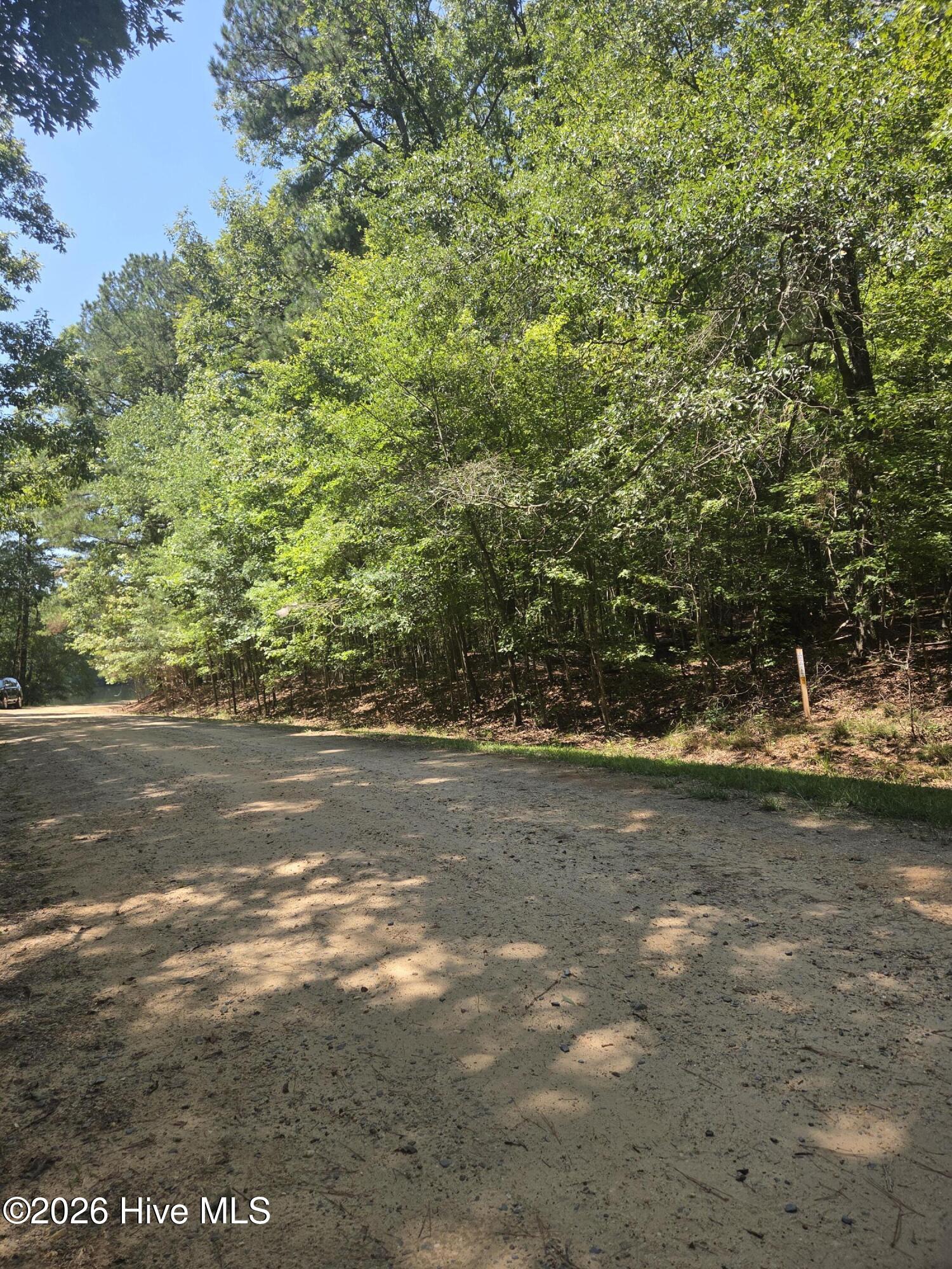 Lot 45b 45b Appaloosa Lake Drive Property Photo 9