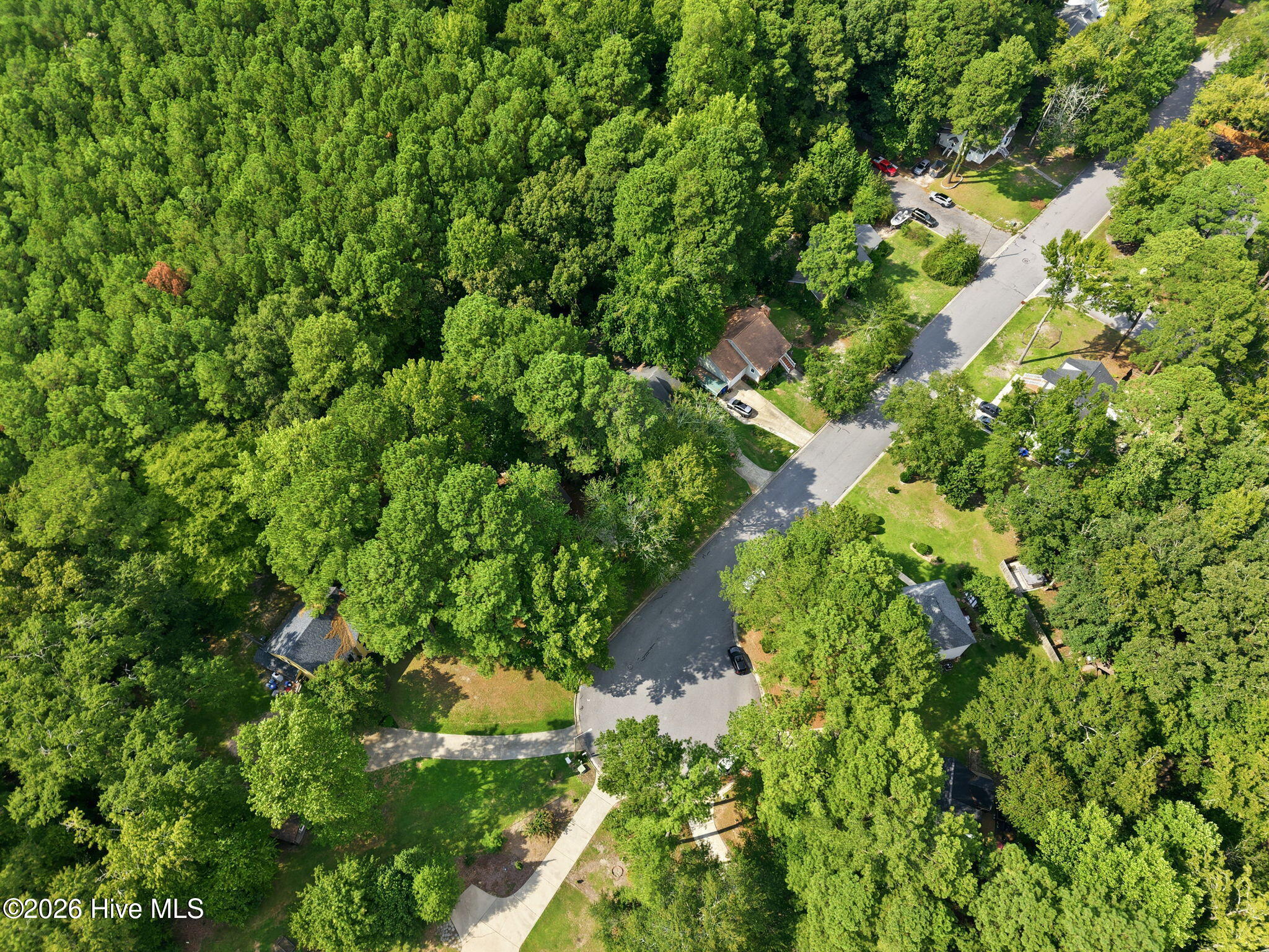 1006 River Hill Drive Property Photo 48