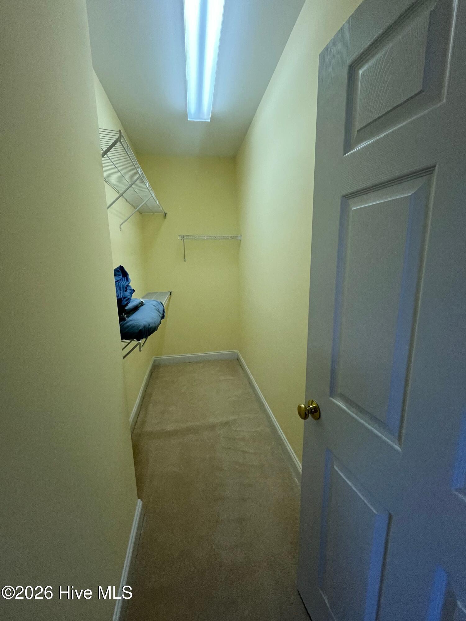 1005 E Shearwater Lane Property Photo 19
