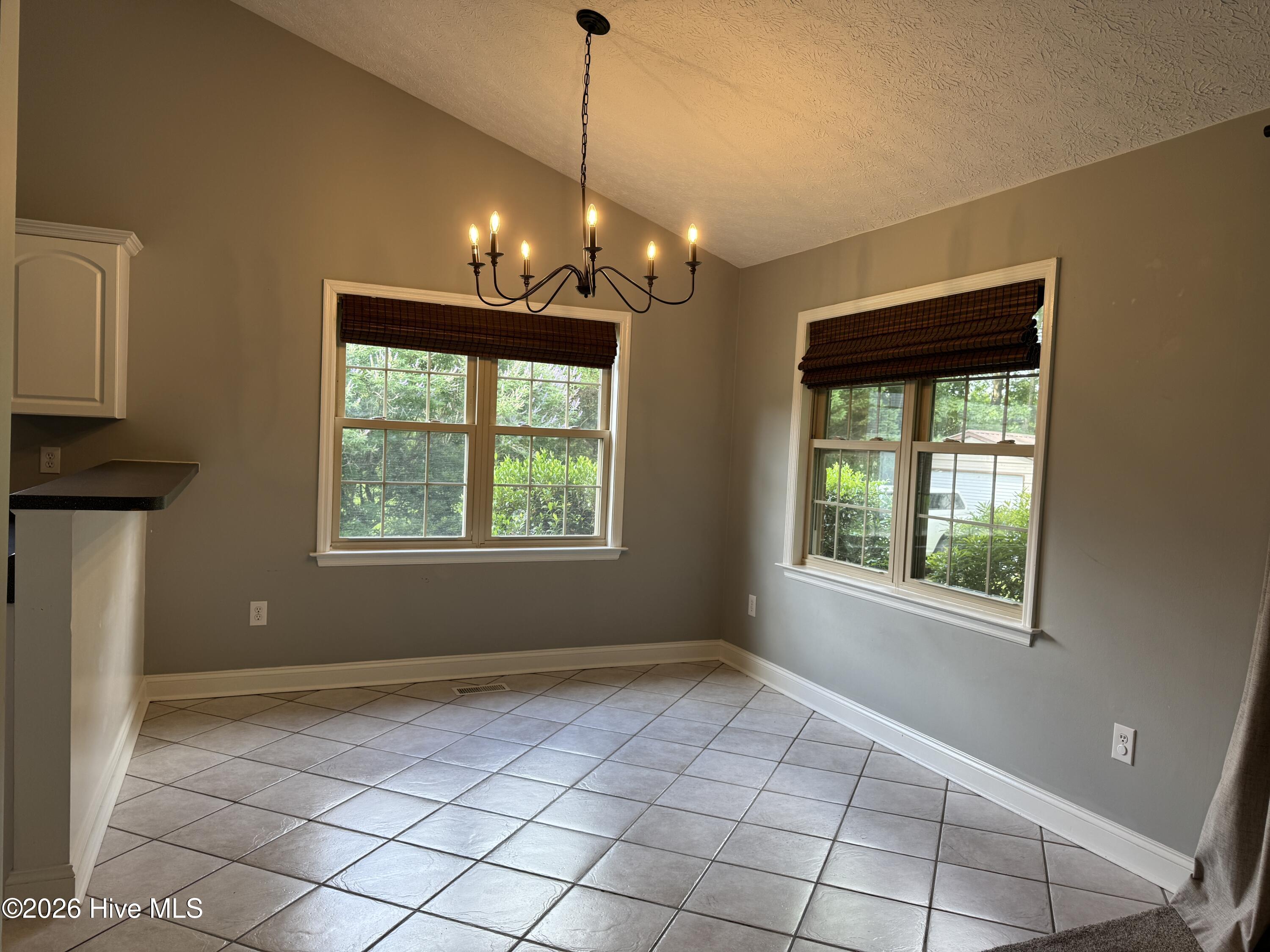 105 Owls Nest Court Property Photo 14