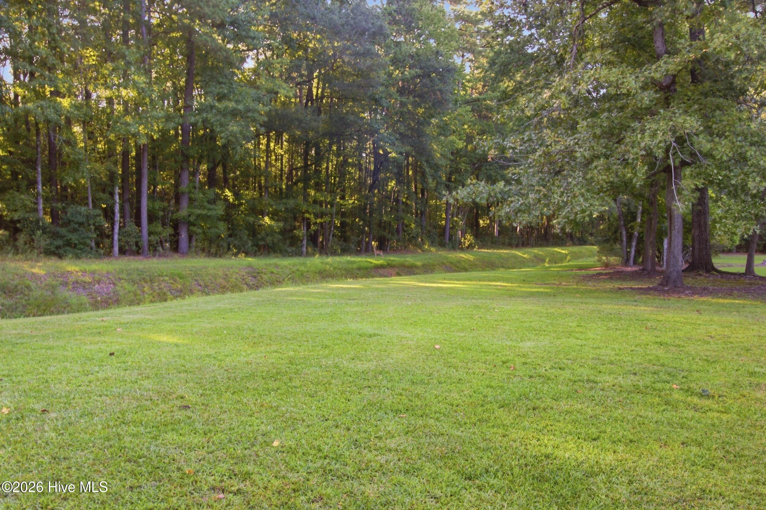 1216 Pine Valley Drive Property Photo 46