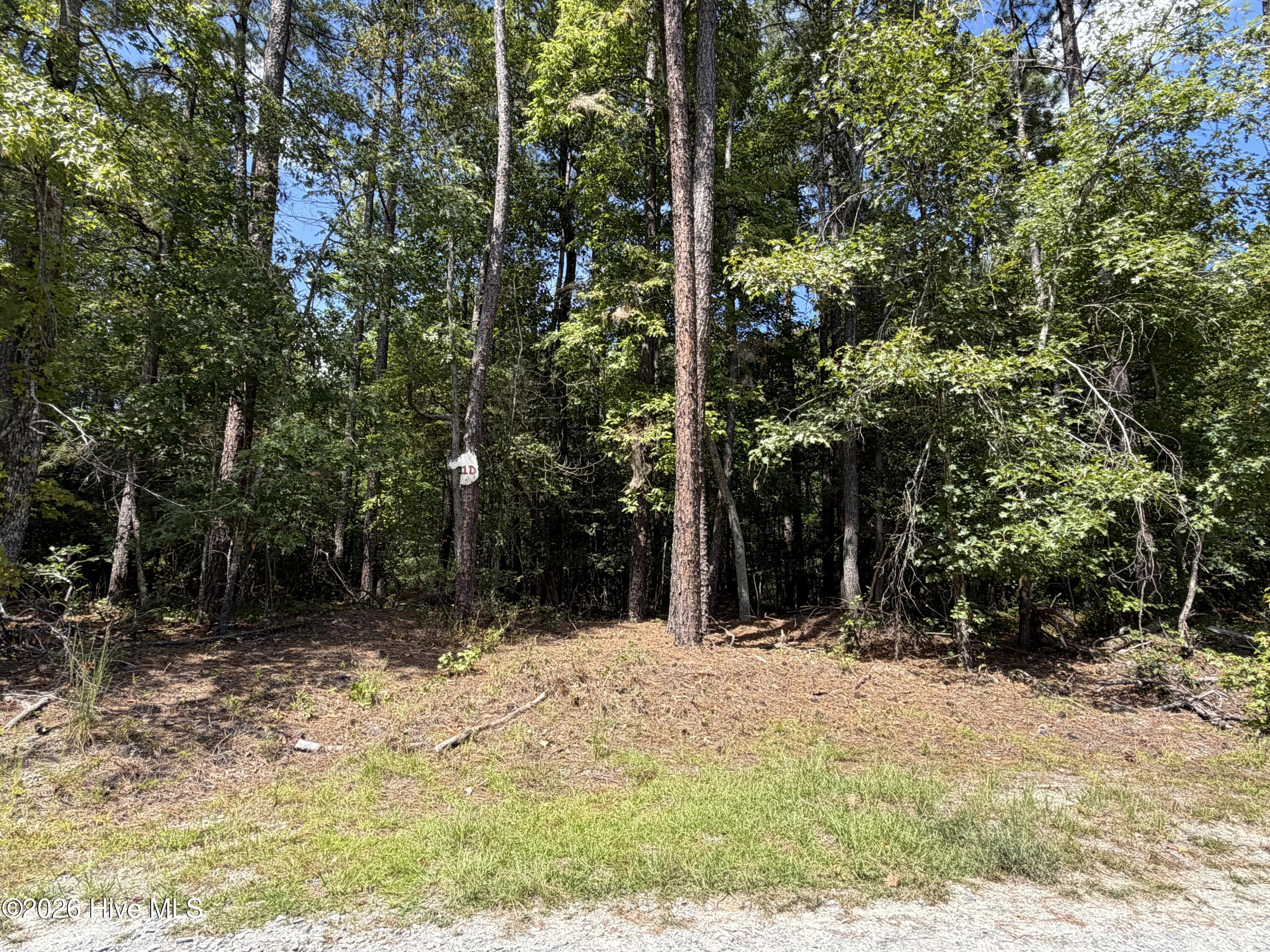 1d Gelding Gap Lane Property Photo 5