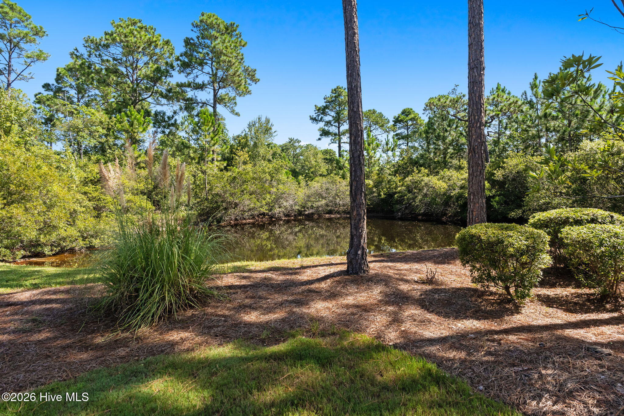 3551 White Spruce Glen Property Photo 82
