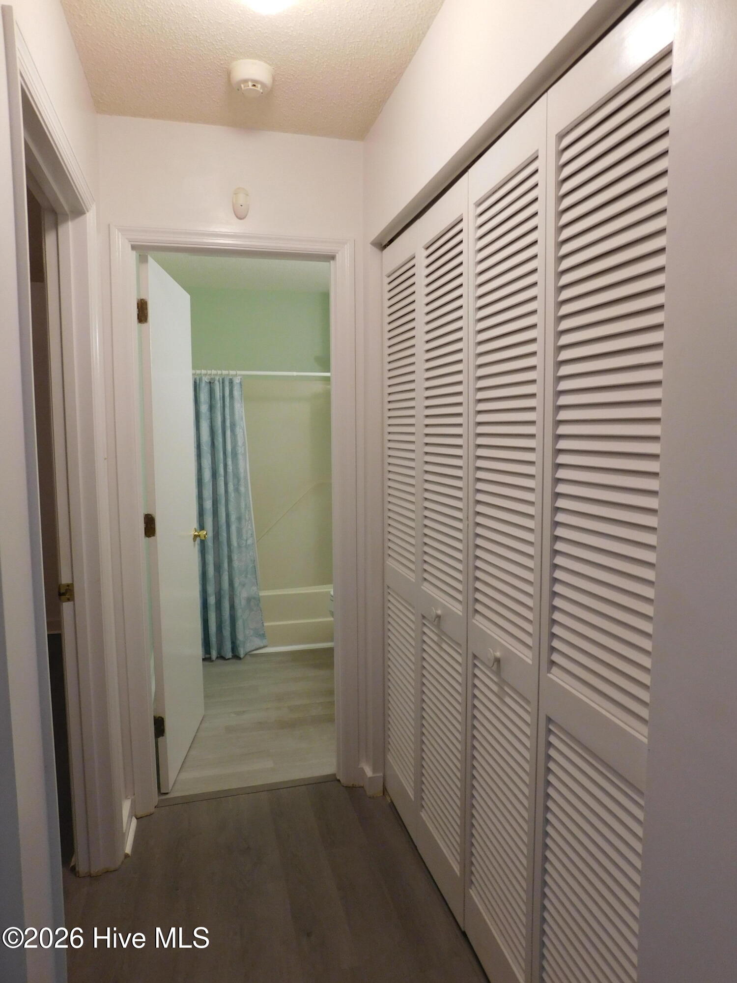 3611 Windy Trail Property Photo 14
