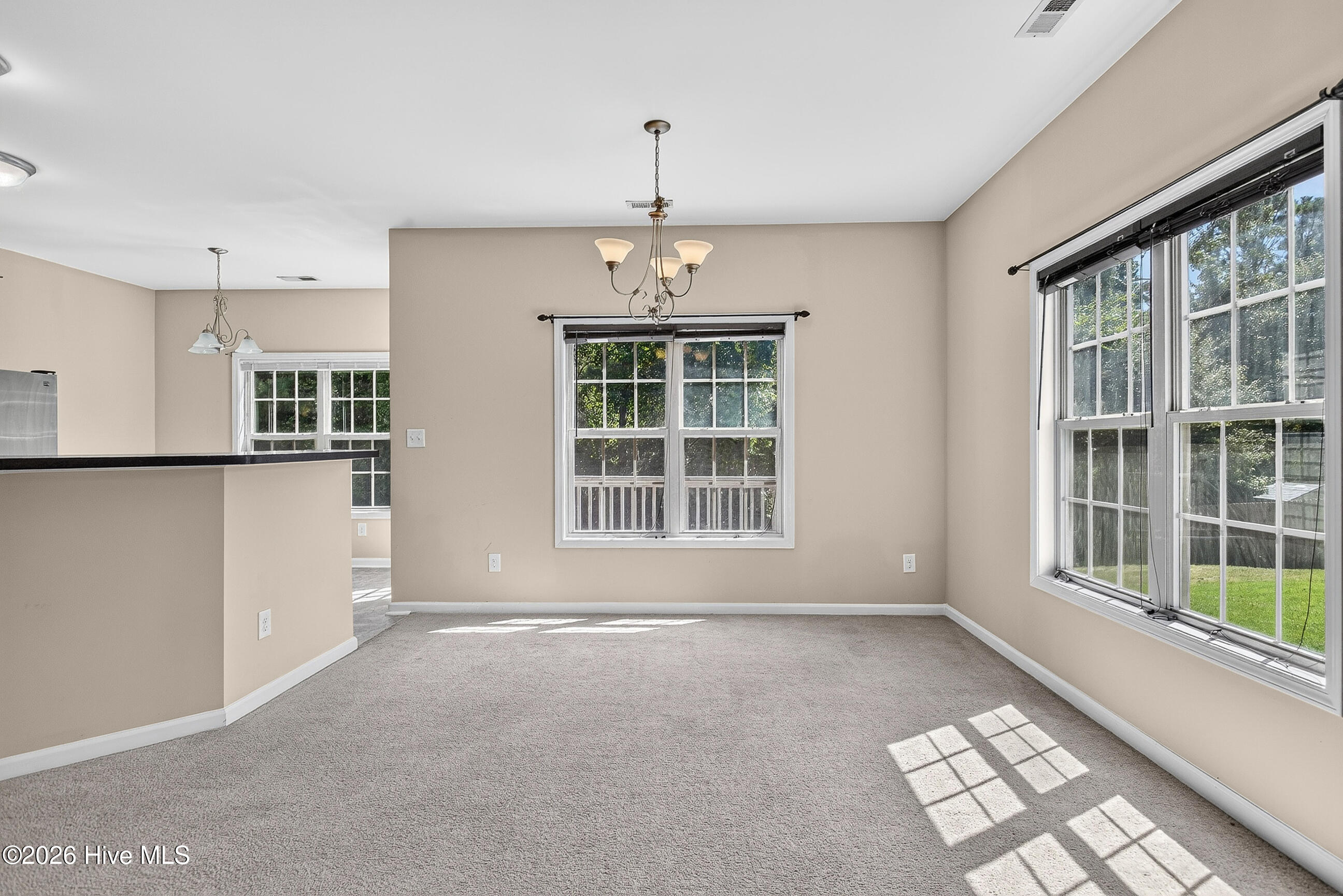 405 Peppermint Drive Property Photo 9