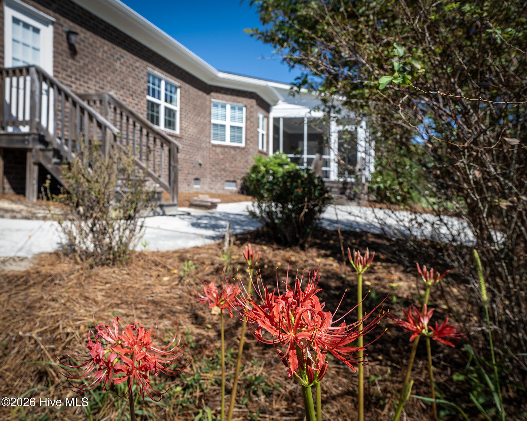 155 Willis Neck Road Property Photo 97